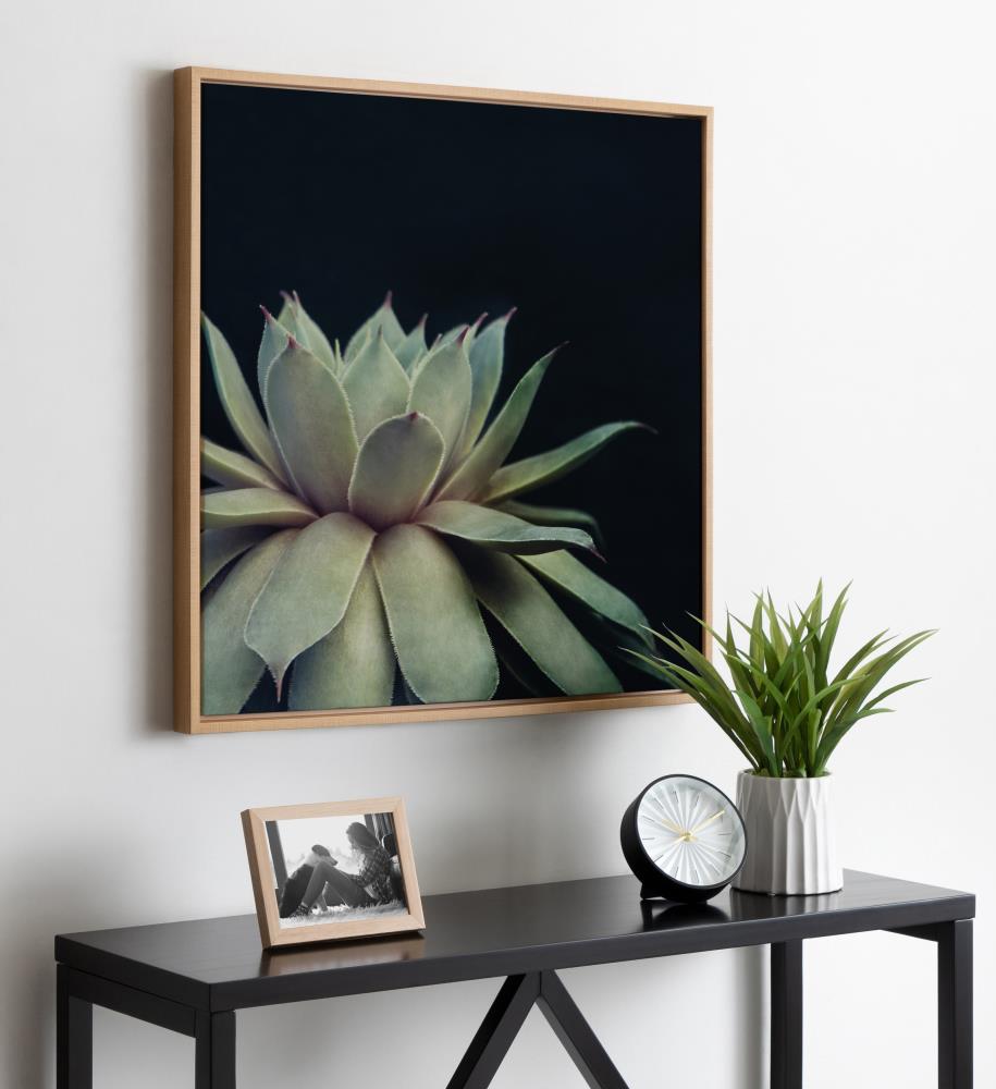 Sylvie Succulent Framed Canvas Wall Art in Natural Wood