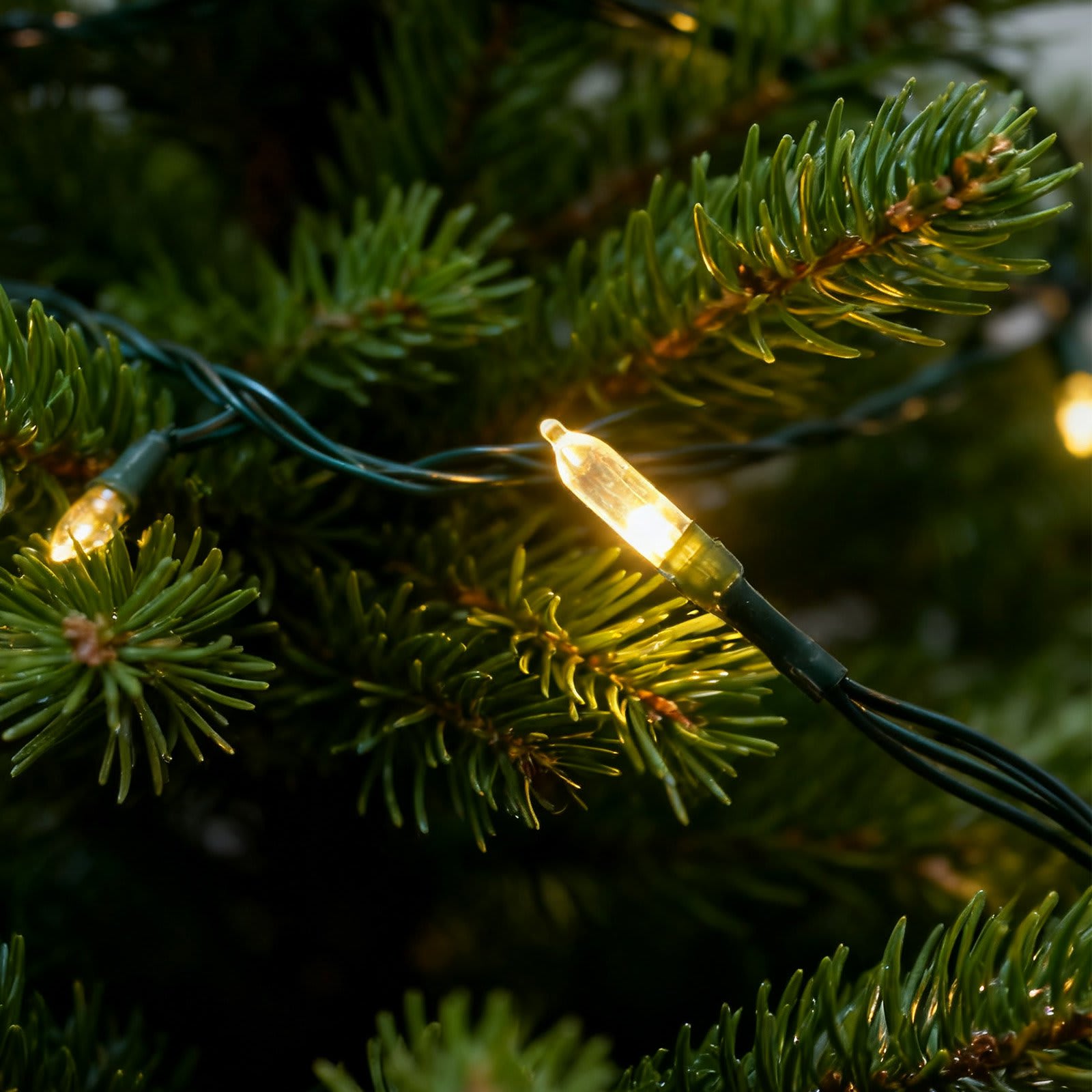 BIGHOUSE BH3003010077 Christmas-String-Lights - View #3