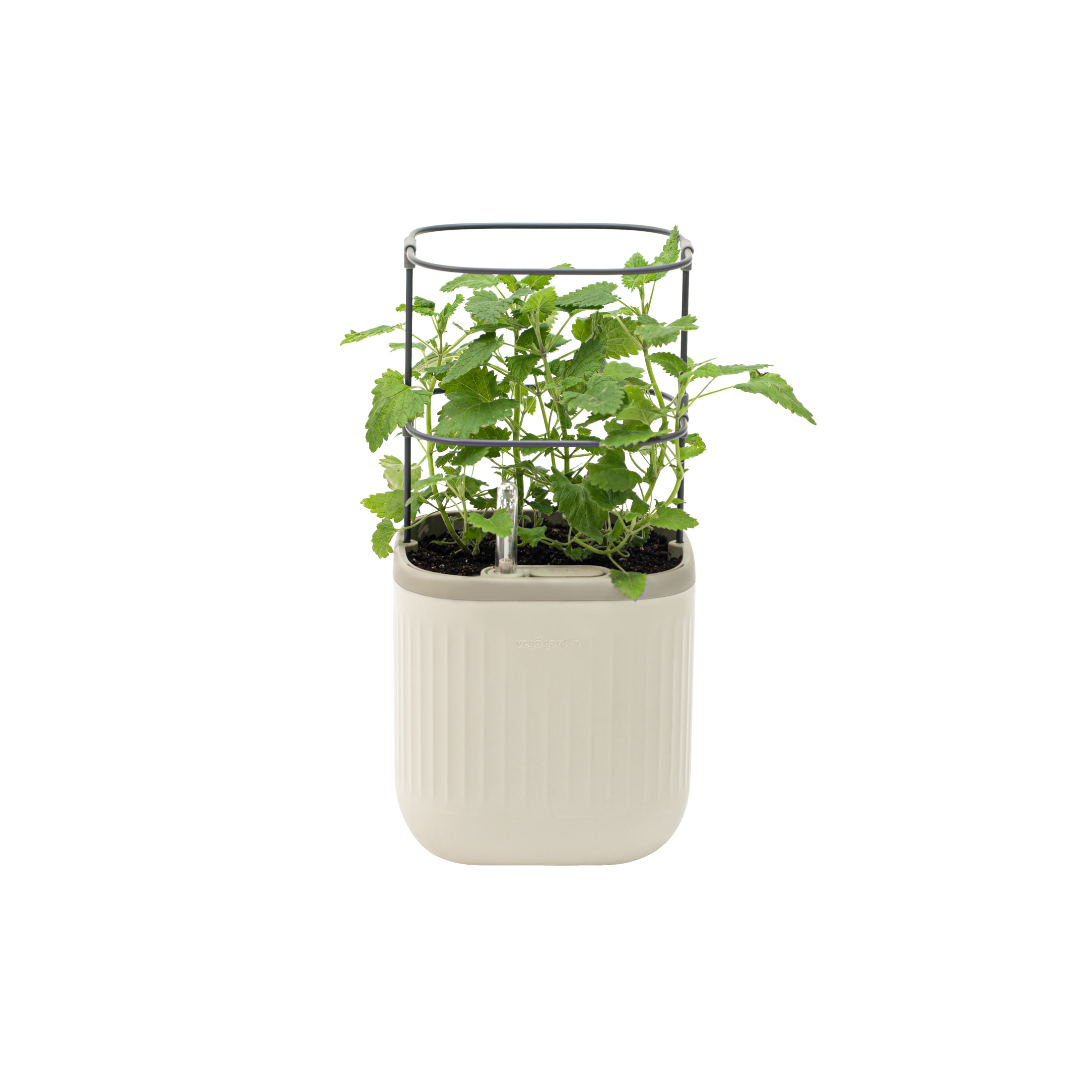 Vego Garden VPMPWT Rectangle 7-in W Medium White Recycled plastic Contemporary/Modern Indoor/Outdoor Planter with Drainage Holes with Self Watering
