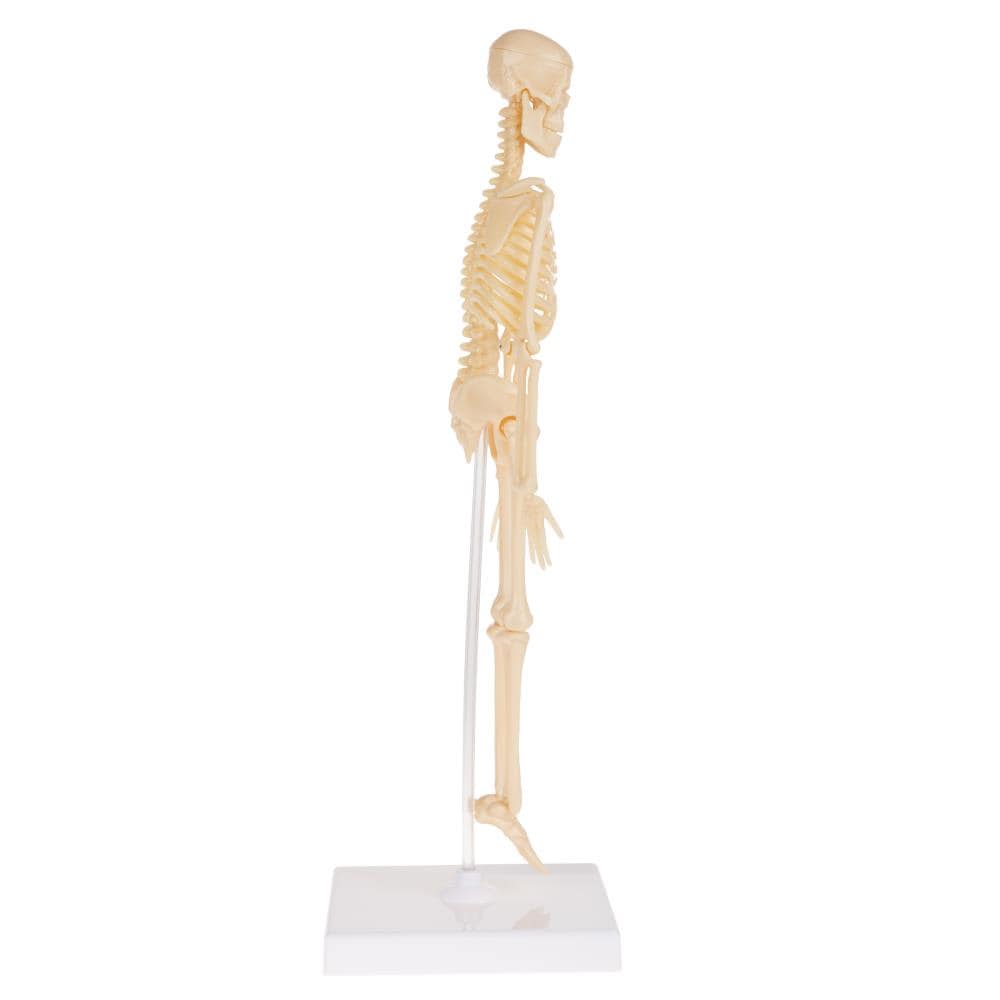 Toy Time 950615QUK Play-Toys - View #6