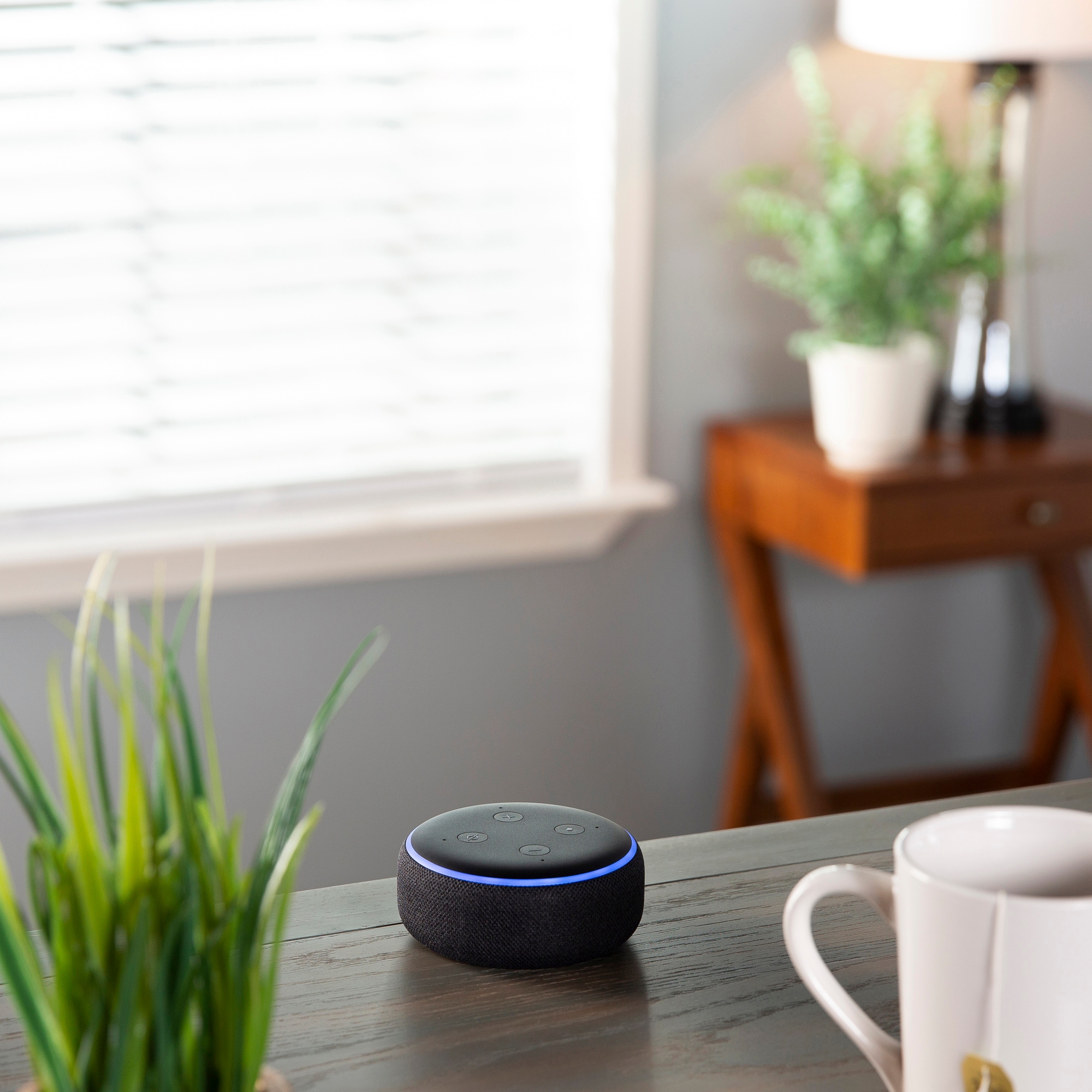 Echo Dot (3rd Gen) Smart Speaker with Alexa - Charcoal - Noel Leeming