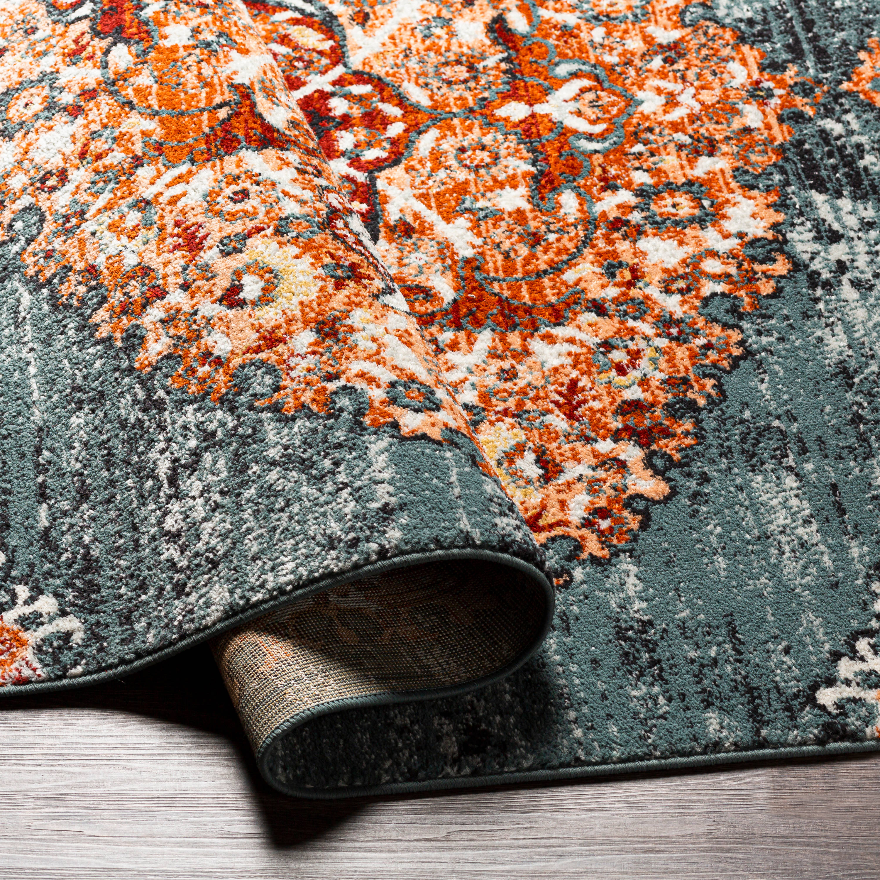 Artistic Weavers TVZ2368-679 rugs - View #4