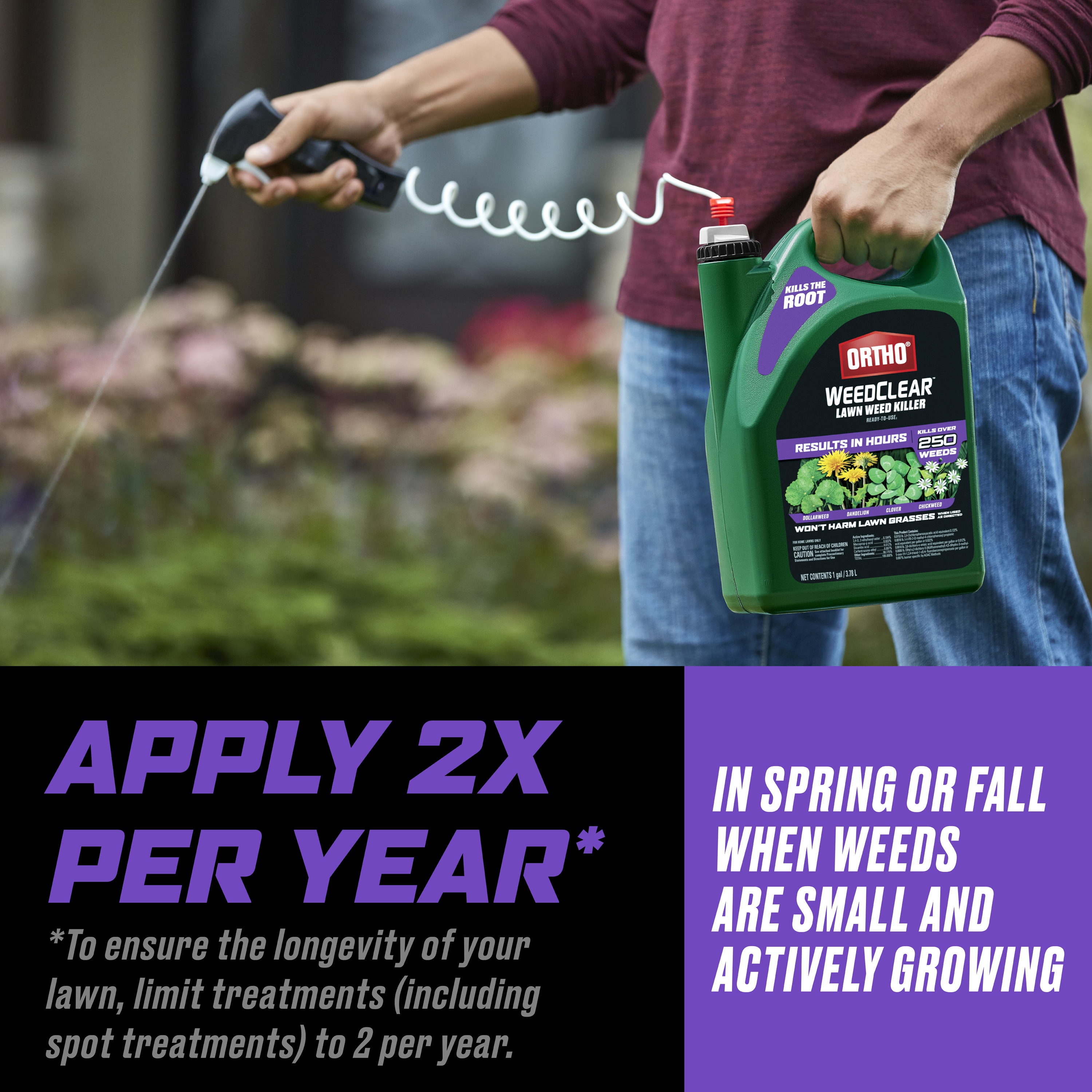 ORTHO 0449305 Weed-Killers - View #6