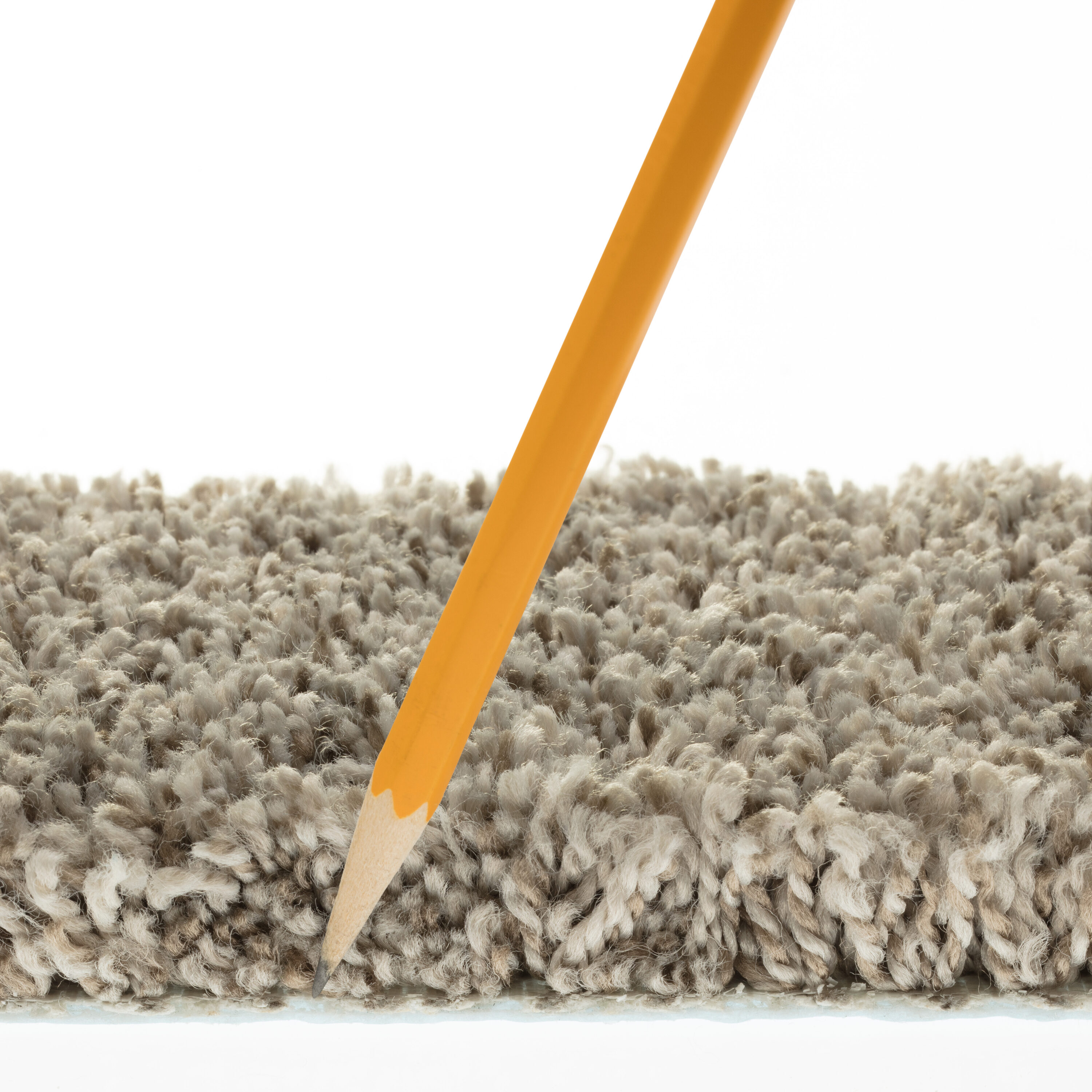 STAINMASTER 7L886 - 702 - SAMP Carpet-Samples - View #6