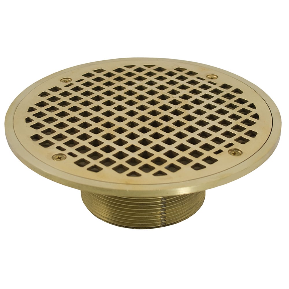 Jones Stephens IPS Spud with Strainer 3.5-in Polished Brass Round Square  holes Brass Floor drain in the Shower Drains department at