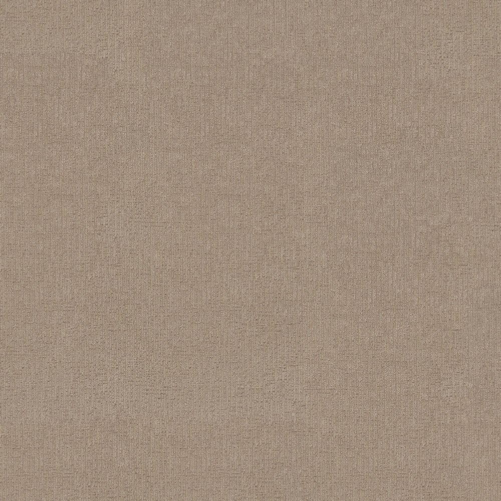 STAINMASTER PetProtect 7L94600113 with LeakDefense Plush Purr Cameo Brown 34.1-oz sq yard Solution-dyed polyester Pattern Indoor Carpet