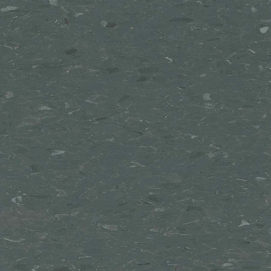 Congoleum Alternatives 45-Piece 12-in x 12-in Slate Glue (Adhesive) VCT Tile Congoleum Alternatives 45-Piece 12-in x 12-in Slate Glue (Adhesive) VCT Tile