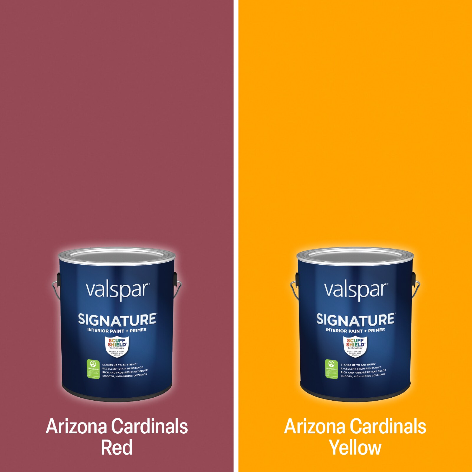 Shop Valspar Cleveland Brown Paint Project Kit at