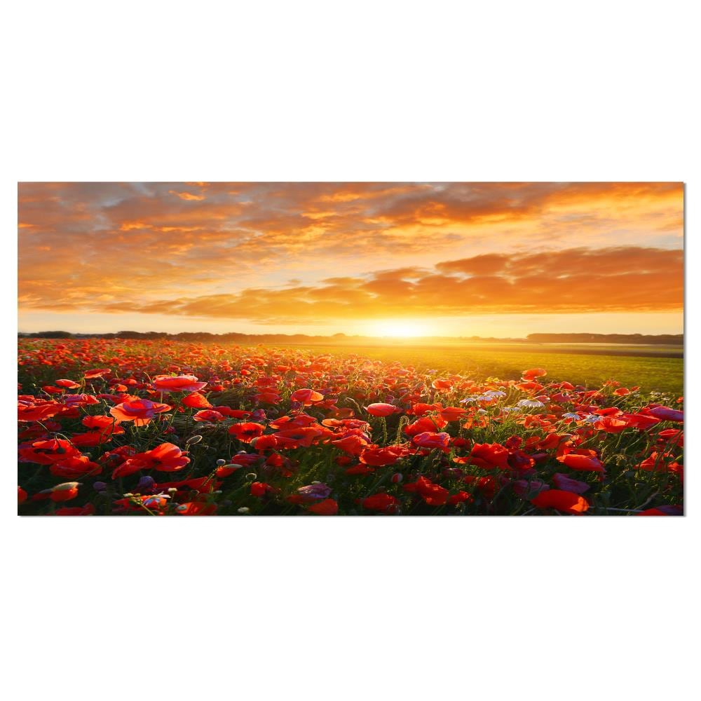 Designart PT15843-32-16 16-in H x 32-in W Landscape Print on Canvas