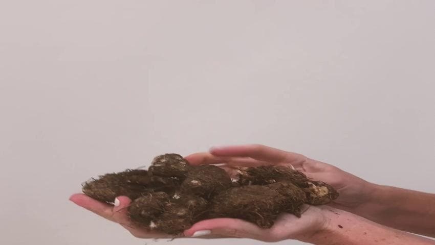 A thumbnail for the video