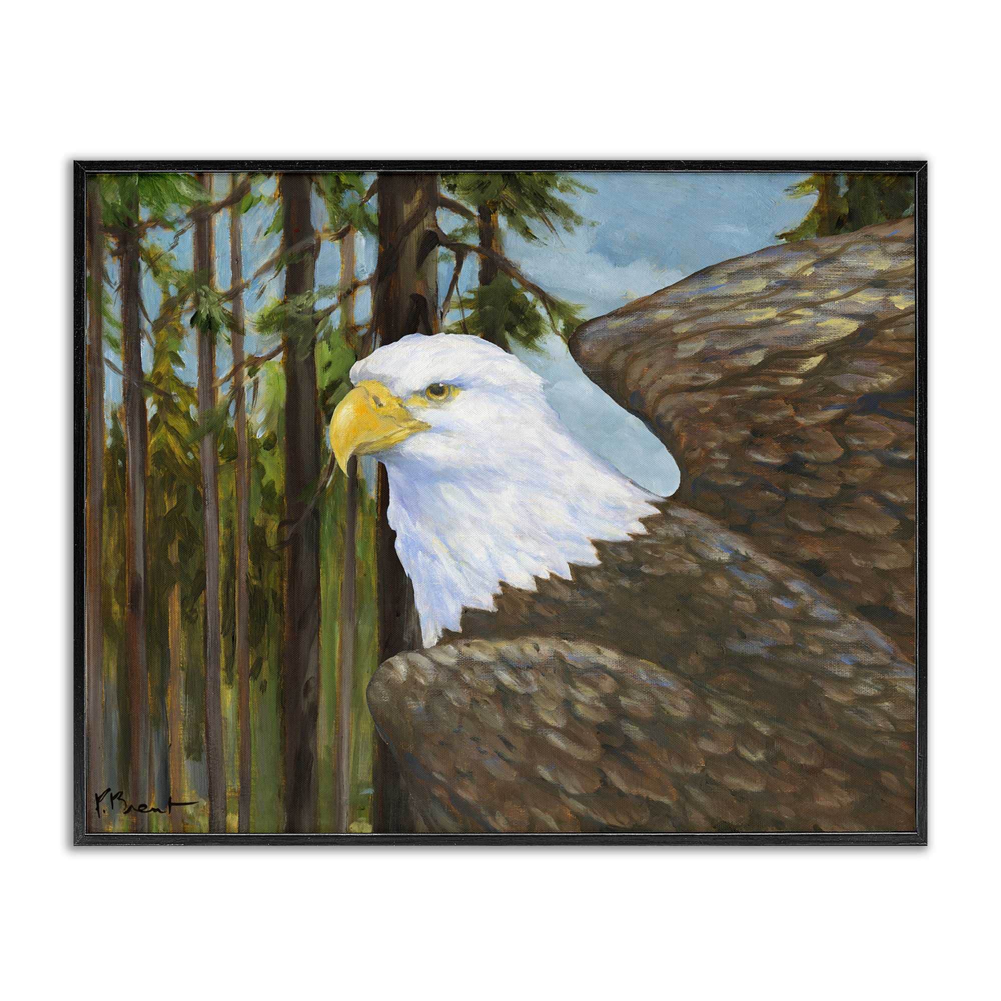 Stupell Industries BT-797-FR-16X20 Woodland Eagle's View Black Framed Giclee Art By Paul Brent 20 x 16