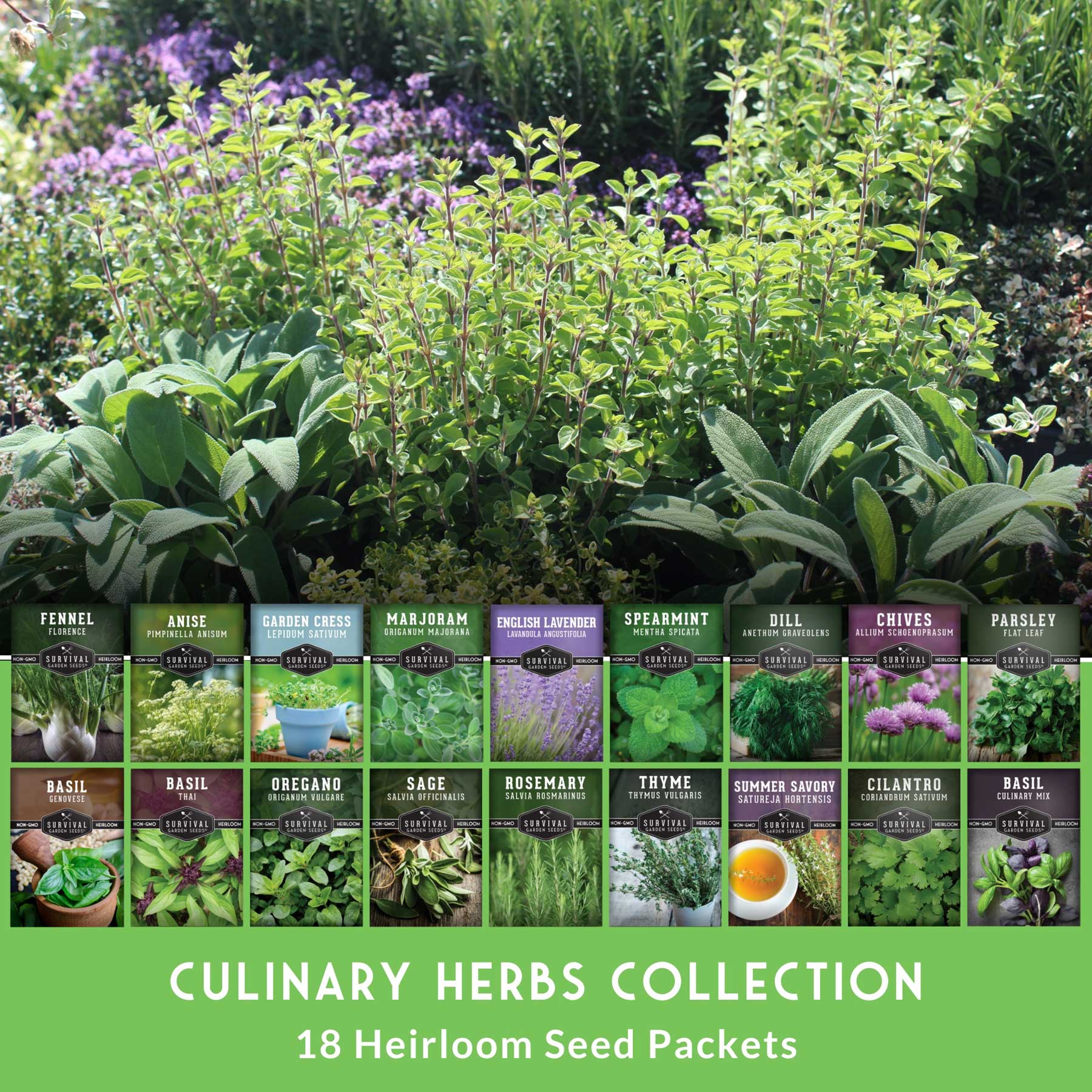 Survival Garden Seeds CULINARY18COLLEC Vegetable-Herb-Seeds - View #4