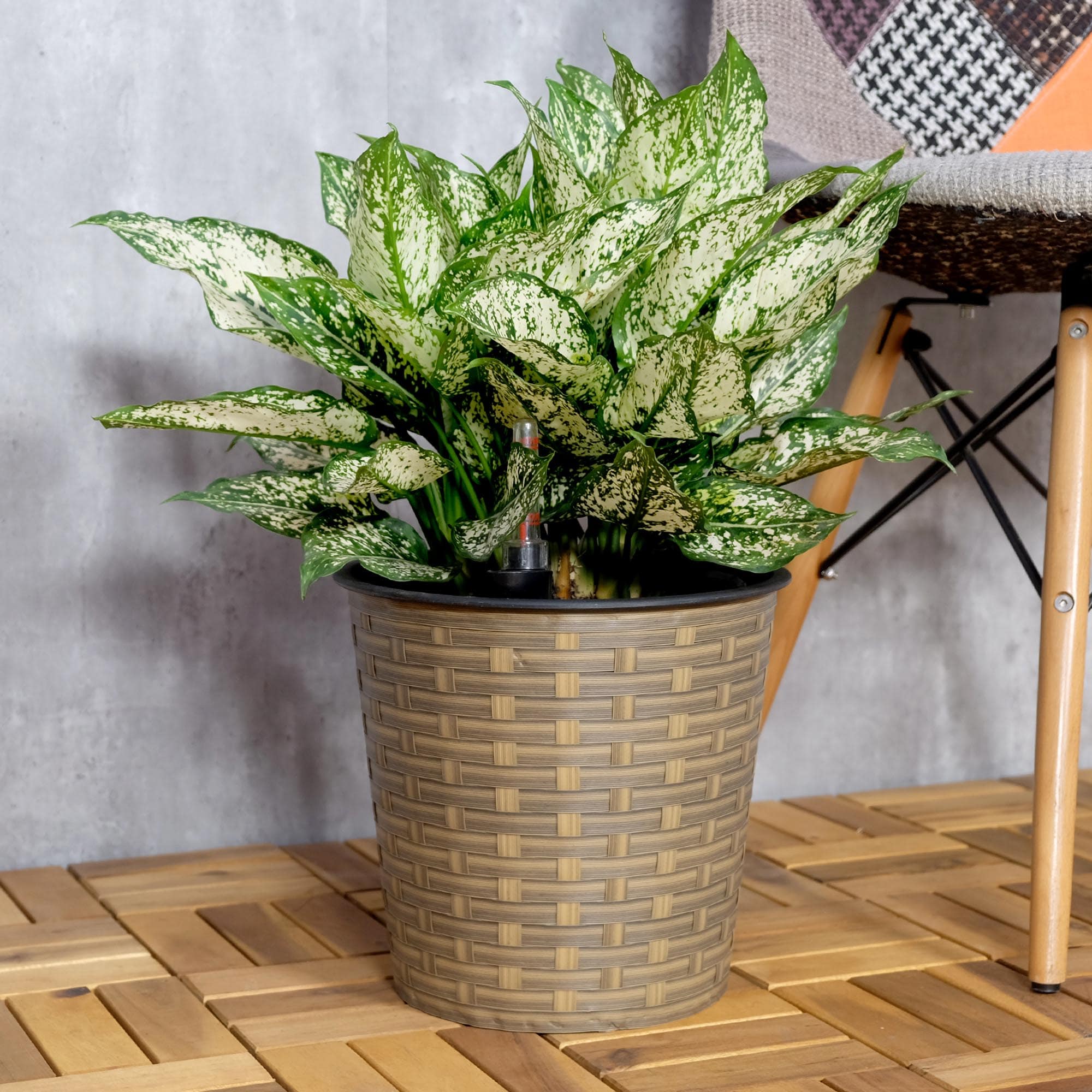 Miki Shinly JJ-4688-11DTY Planter-Window-Box - View #5