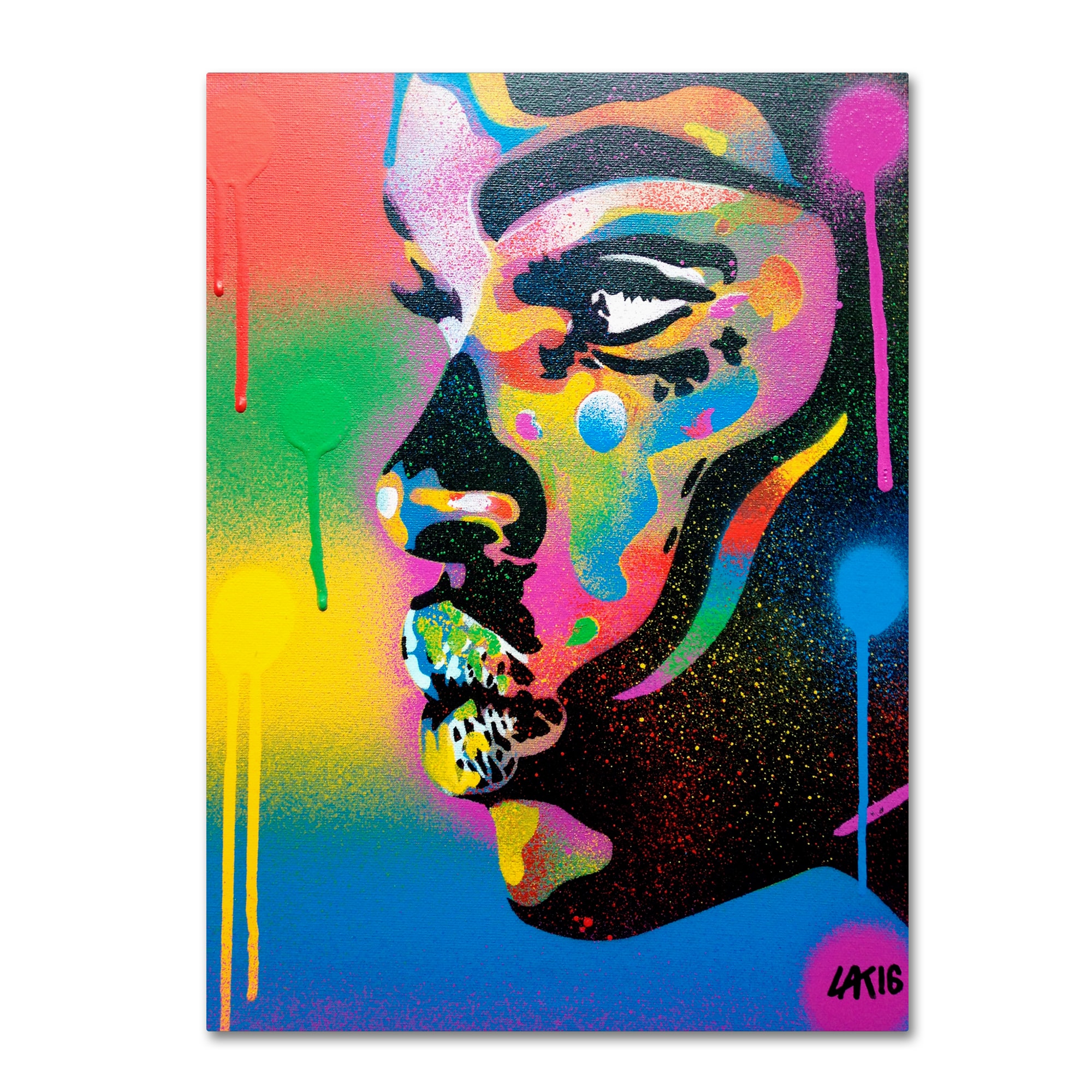 Trademark Fine Art ALI11654-C2432GG Abstract Graffiti "Kiss Series 2 Rainbow" 24x32 Canvas Art Abstract Graffiti Framed 32-Inches H x 24-Inches W Figurative Canvas Print