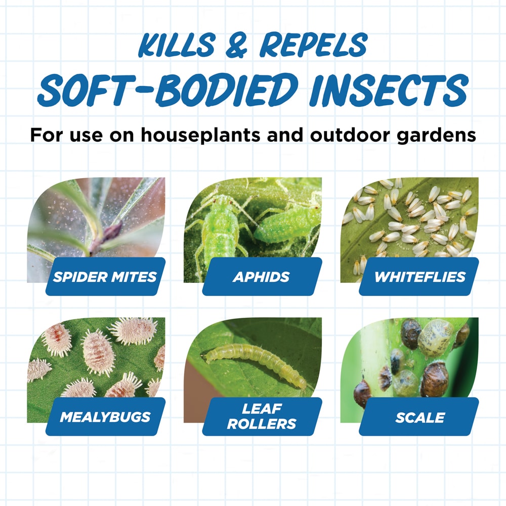Earth's Ally 10337 pesticides - View #5
