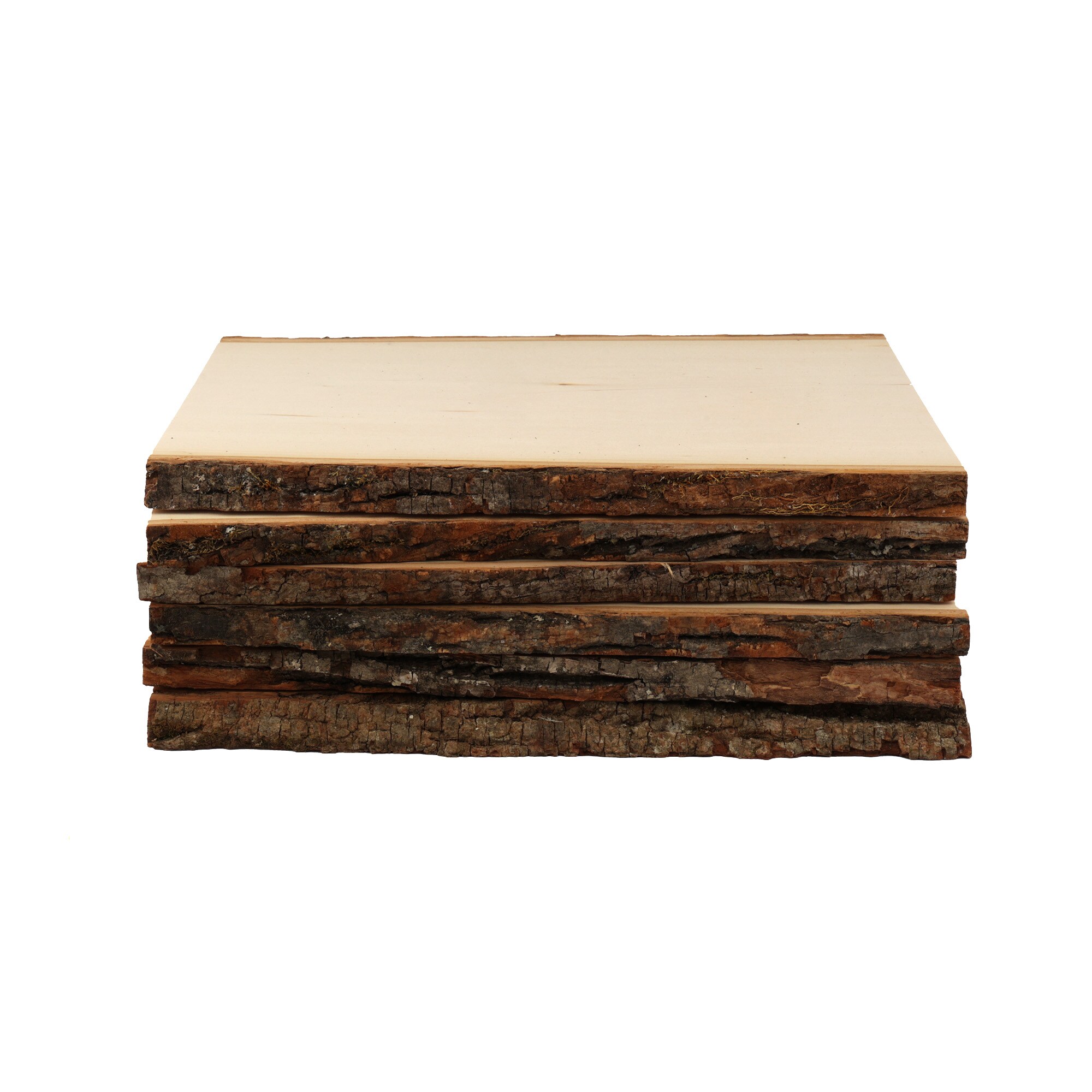 Medium Basswood Planks with Live Edge Bark, Set of 6