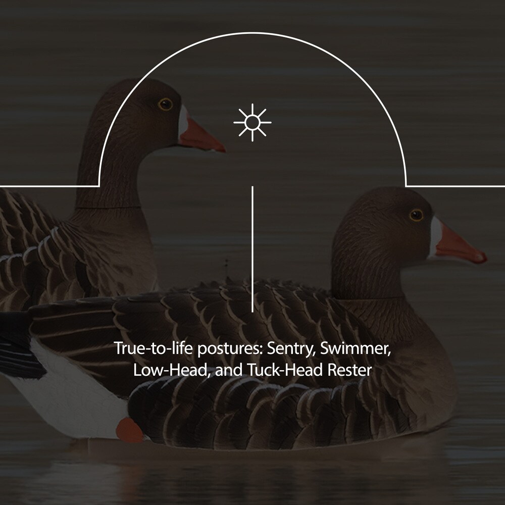 Avian X 408515 Hunting-Equipment - View #4