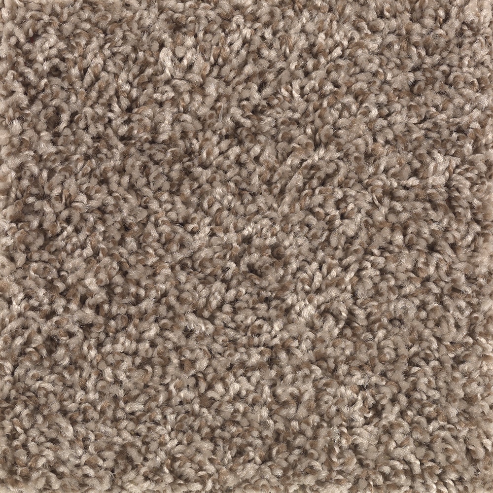 Style Selections CCV06-L015-0808 (Sample) Franklin Place Cedar Chip Brown 40-oz sq yard Polyester Textured Indoor Carpet