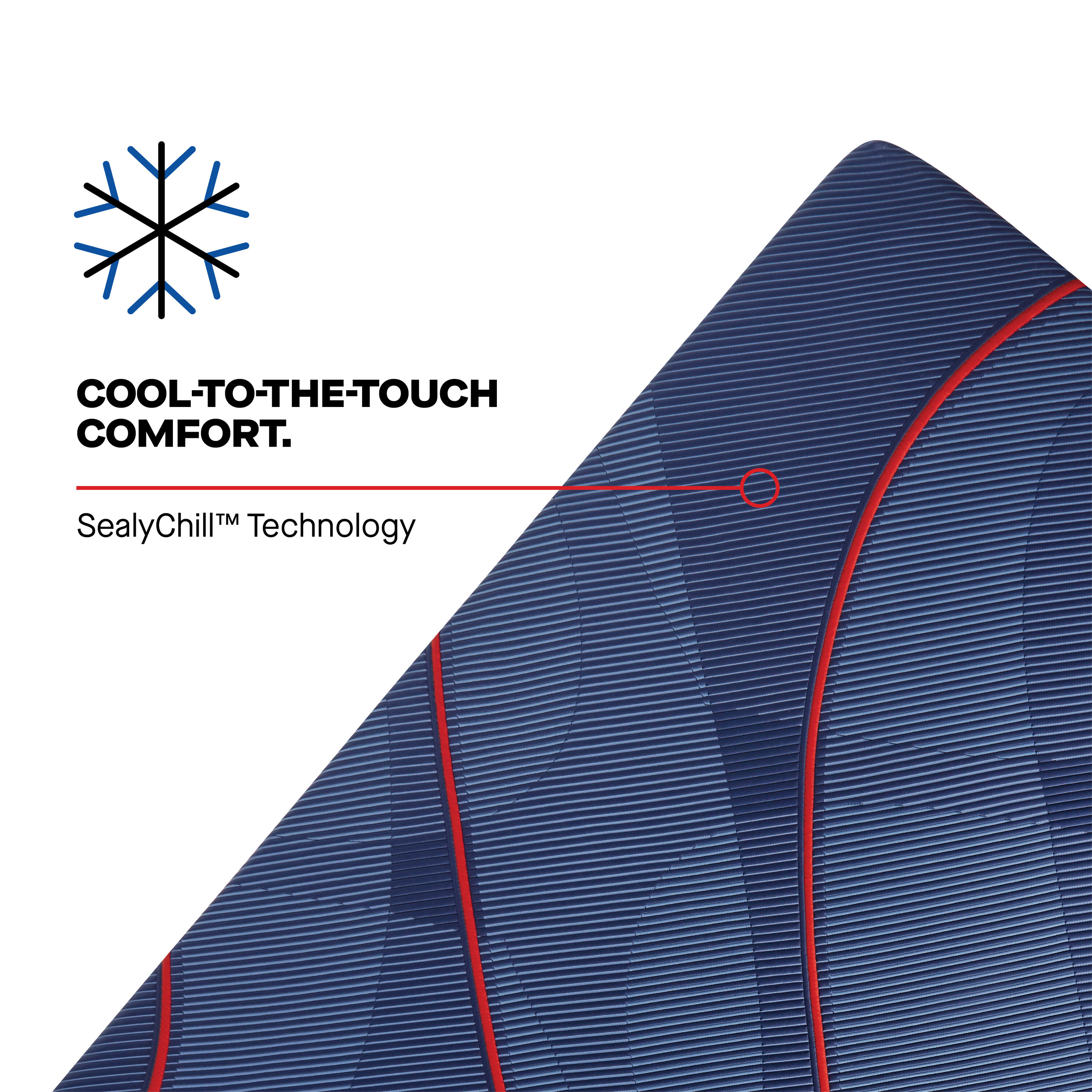 Sealy 53204751 Mattresses-Boxsprings - View #7