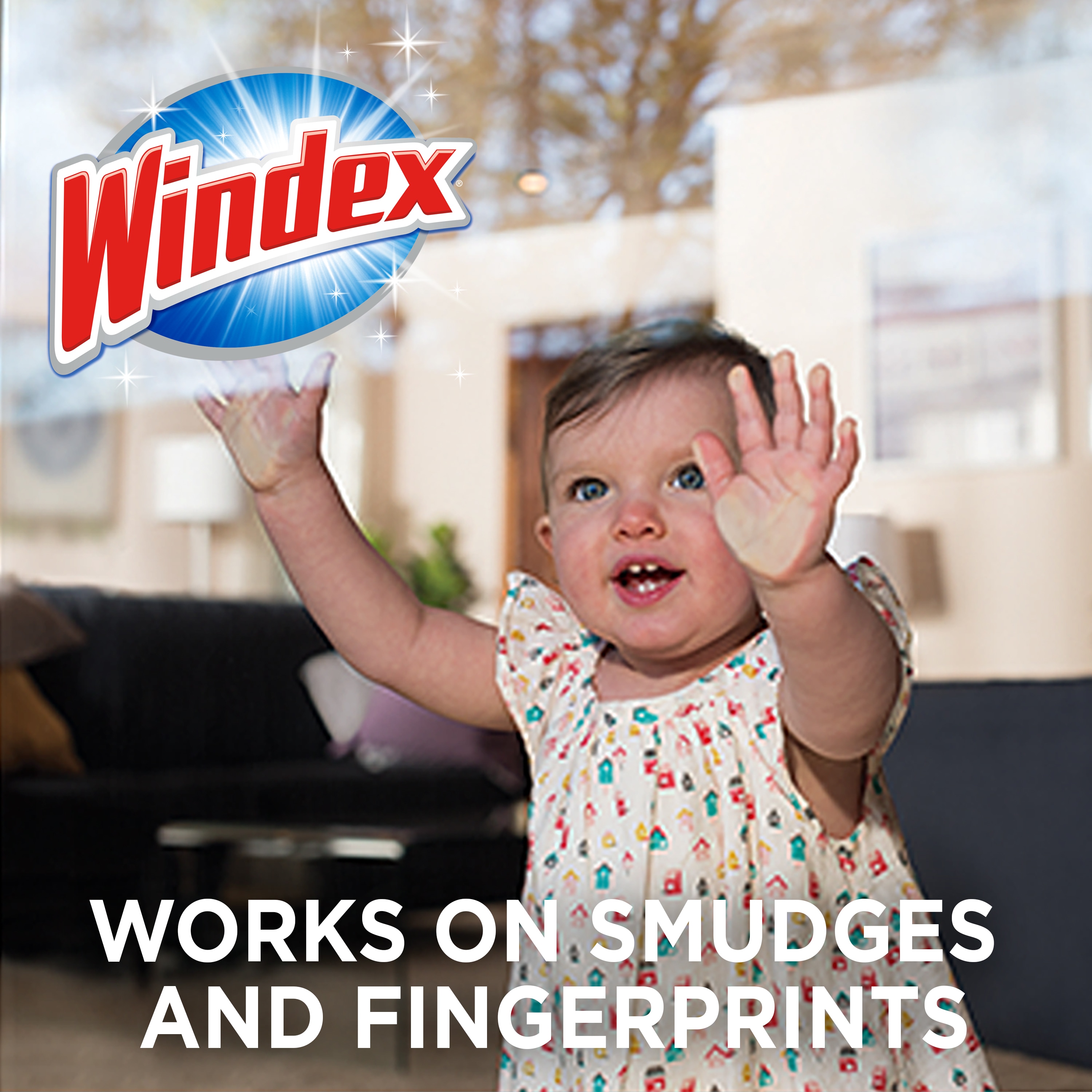 Windex 38-Count Wipes Glass Cleaner