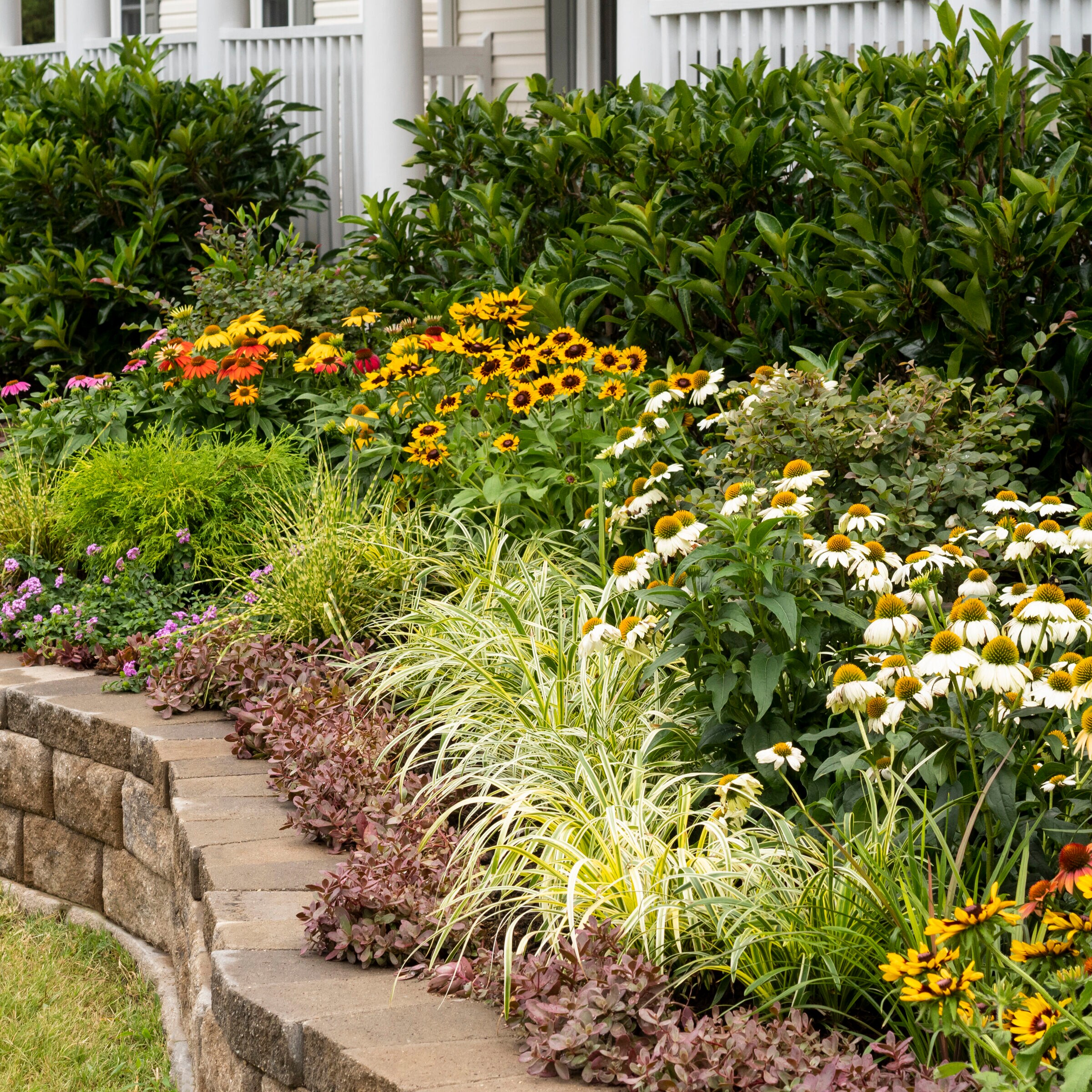 Metrolina Greenhouses 4008 perennials - View #6