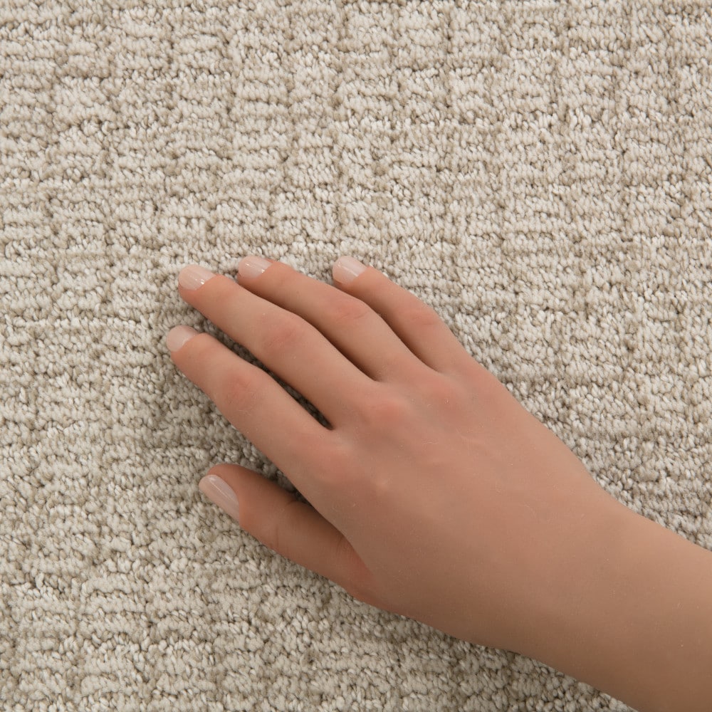 STAINMASTER PetProtect 7L94700114 Carpet-Panel - View #4