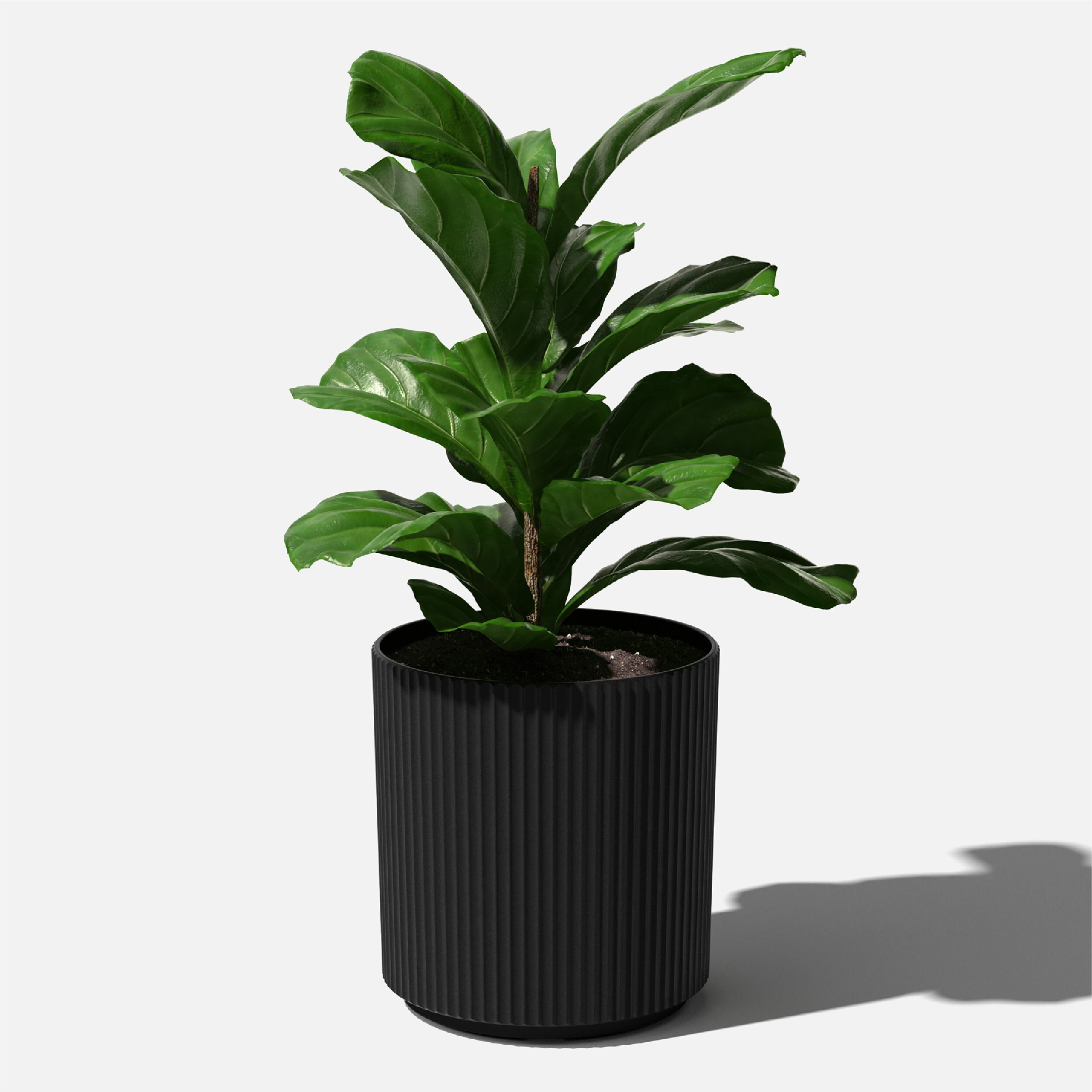 Veradek DMV20B Planter-Window-Box - View #8