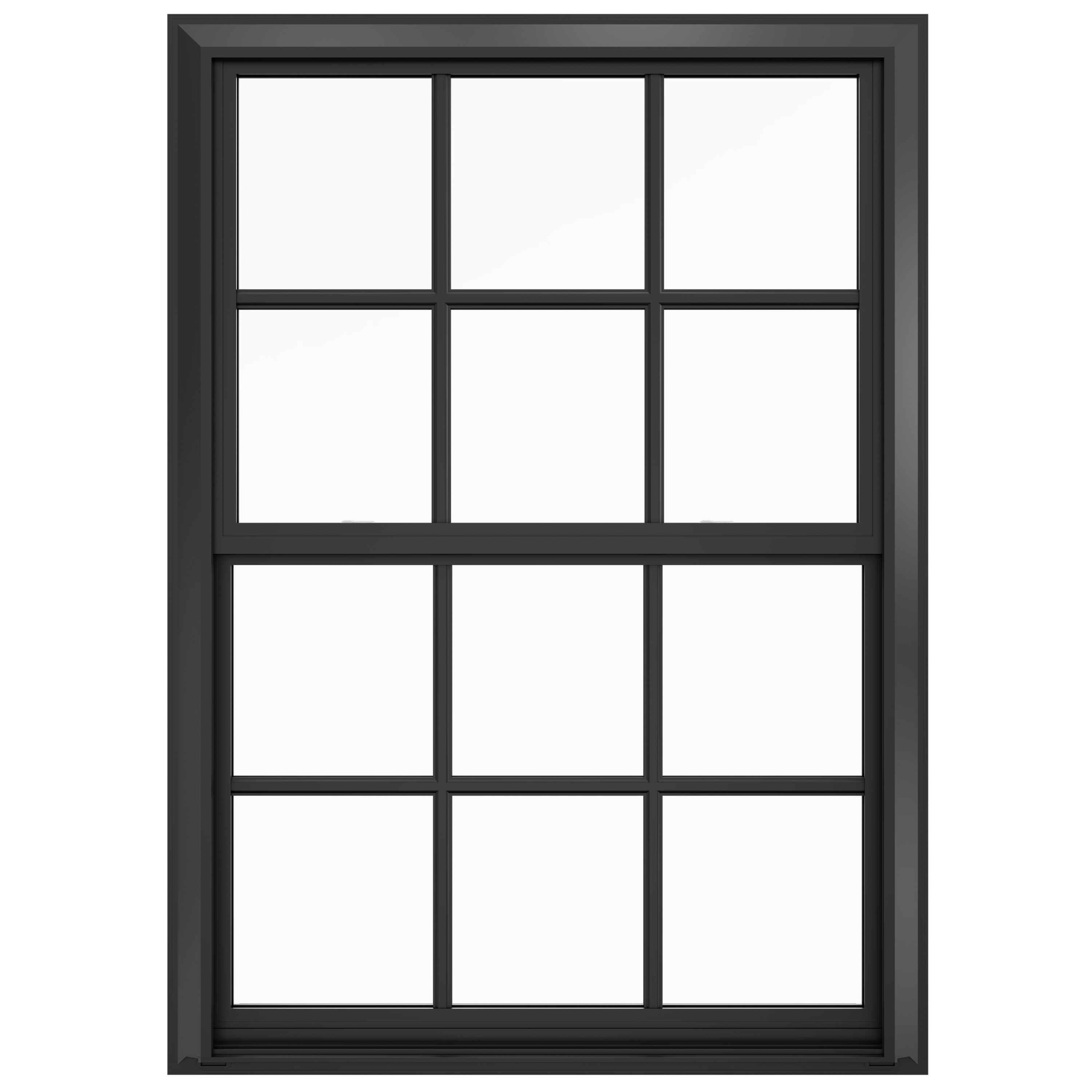 37-in X 51-in Double Hung Windows At Lowes.com