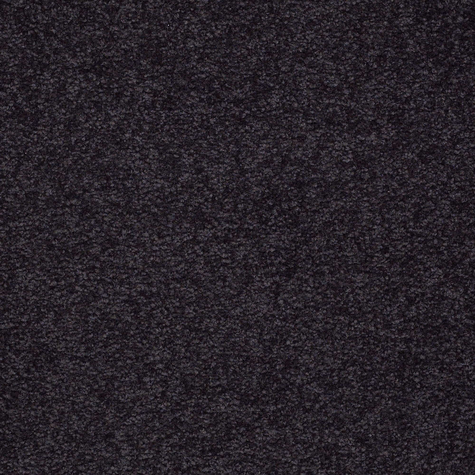 STAINMASTER PetProtect 7L88100503 Best Of Breed I Night Watch Gray 48.8-oz sq yard Nylon Textured Indoor Carpet