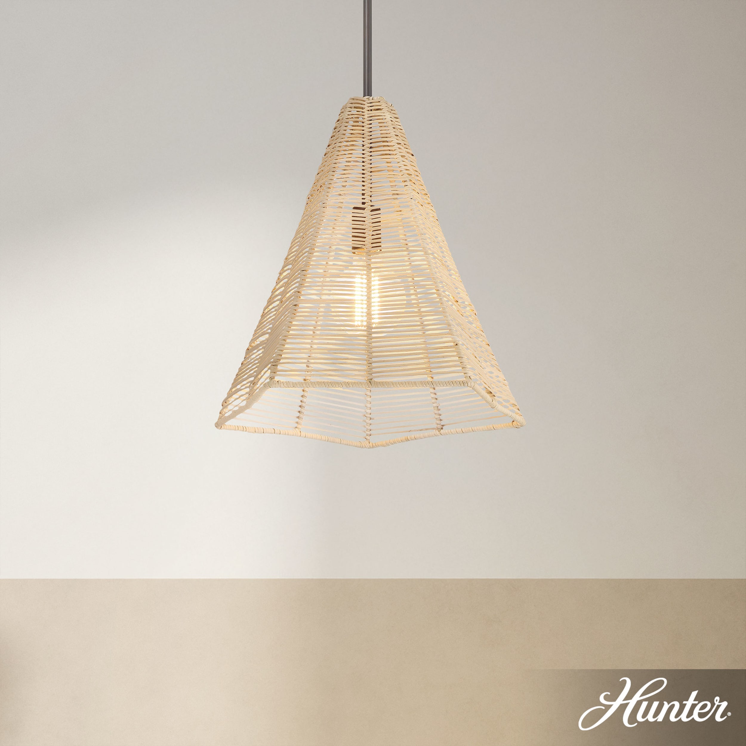 Hunter 48090 Pendant-Lights - View #3
