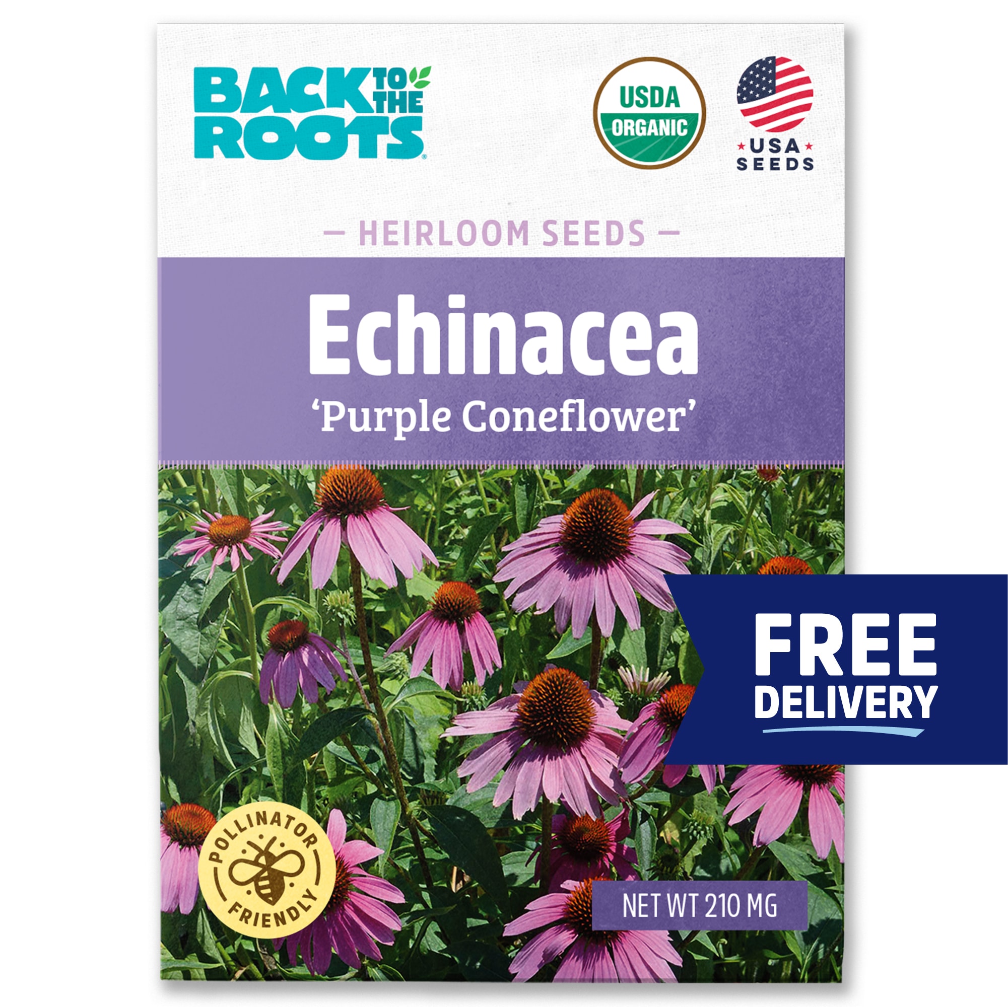 Back to the Roots Organic Echinacea 'Purple Coneflower' Seeds 1 Pack(s)