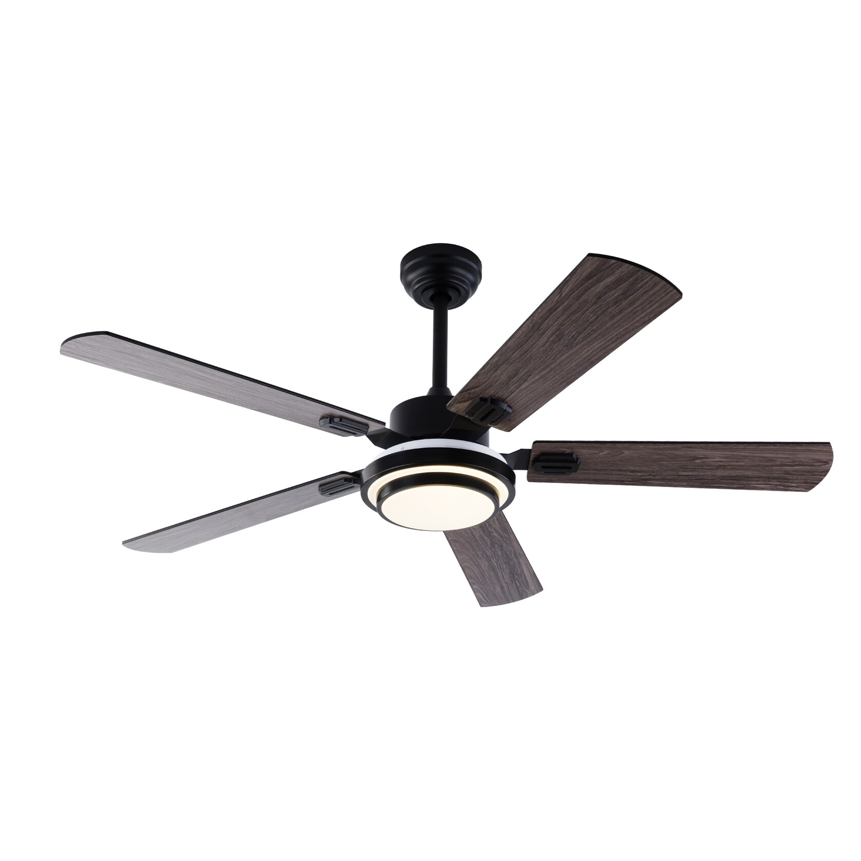 RCCFBHM DSFSDCRFC9895 Ceiling-Fans - View #4