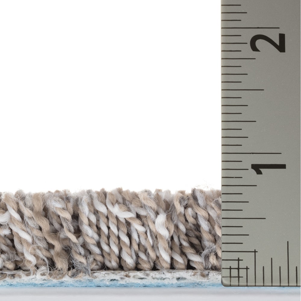 STAINMASTER 7L960-118-SAMP Carpet-Samples - View #8