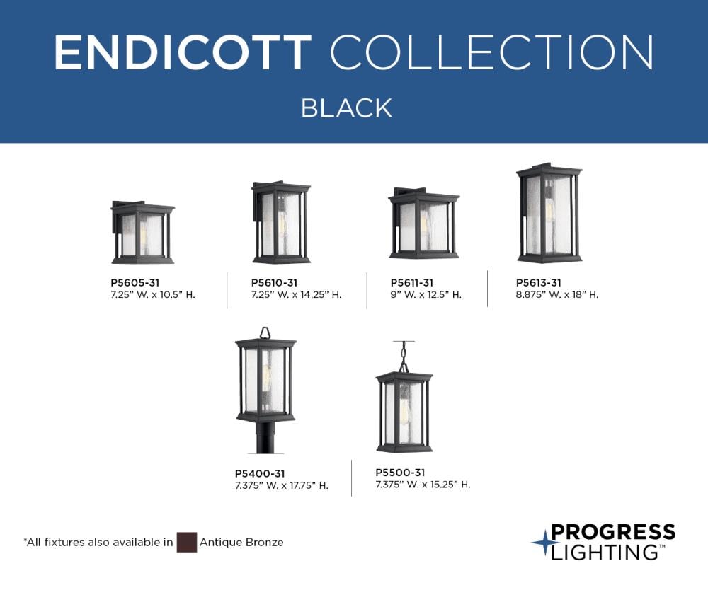 Progress Lighting P5500-31 Pendant-Lights - View #8