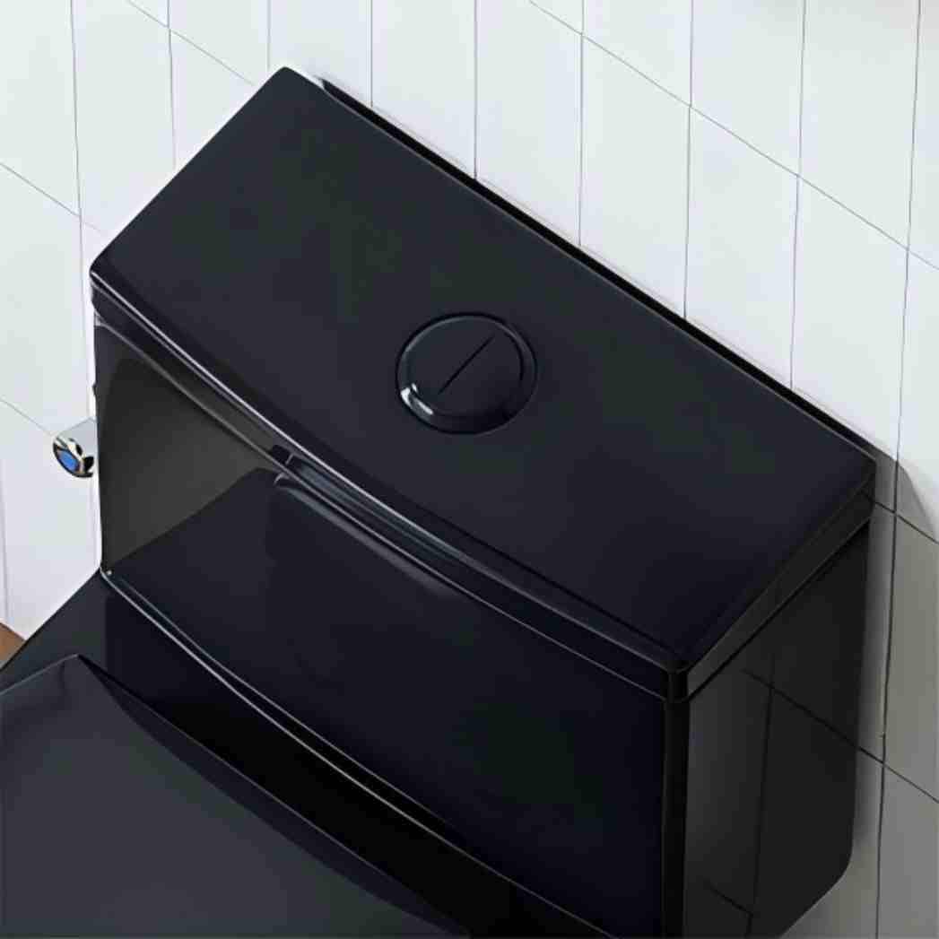 HOROW T0338WB10 toilets - View #8
