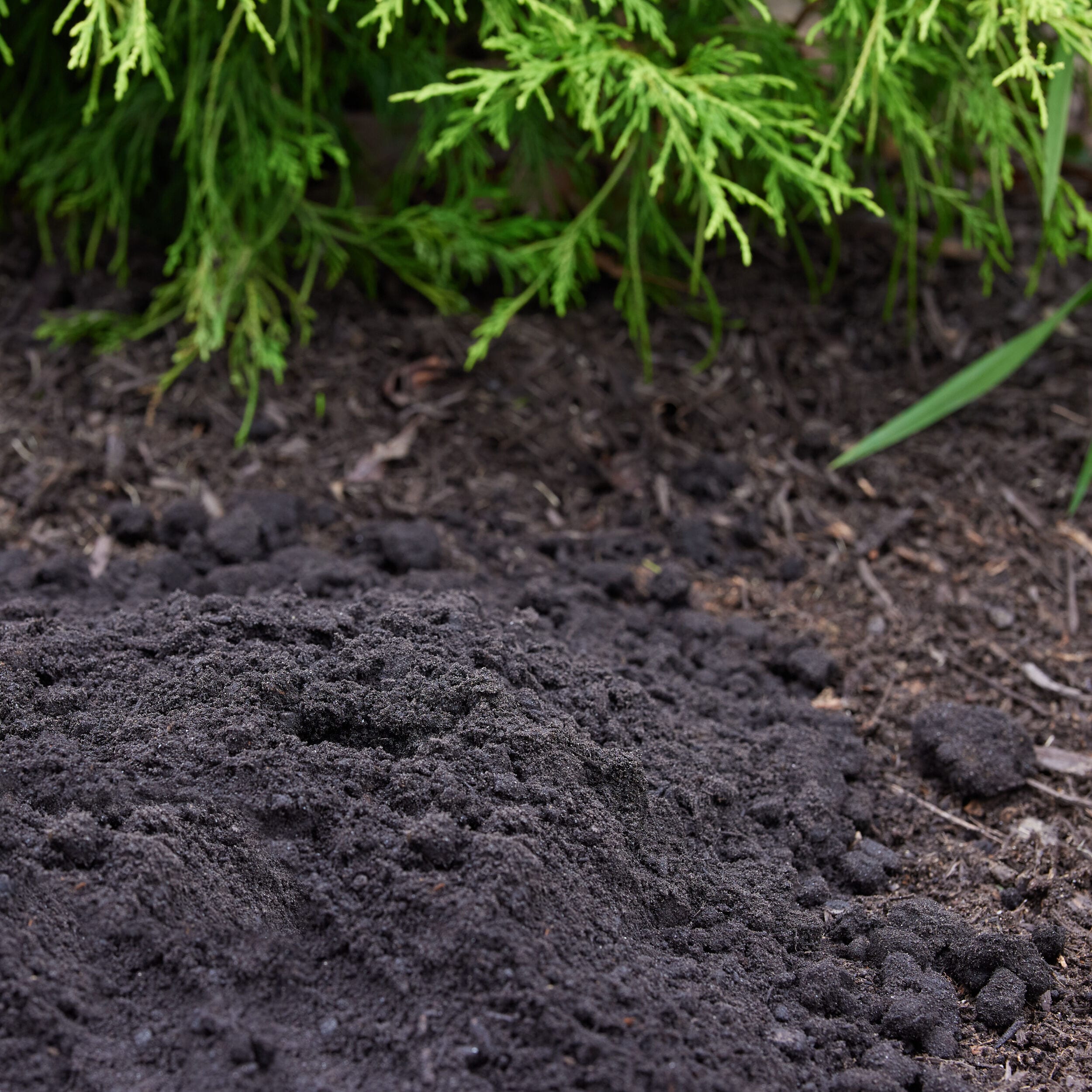 Garick SLTS Garden-Soil-Soil-Amendments - View #8