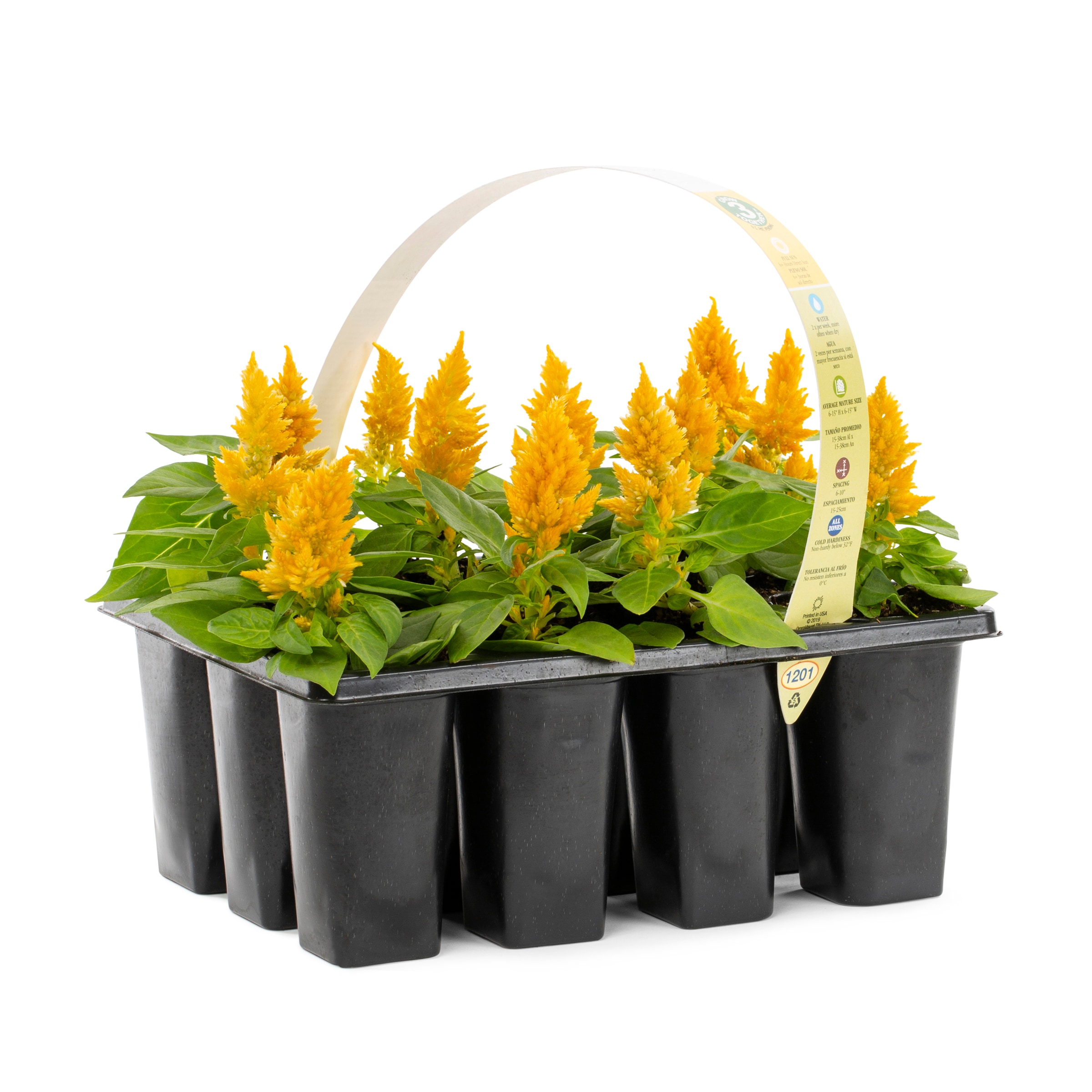 Lowe's 421914 annuals - View #9