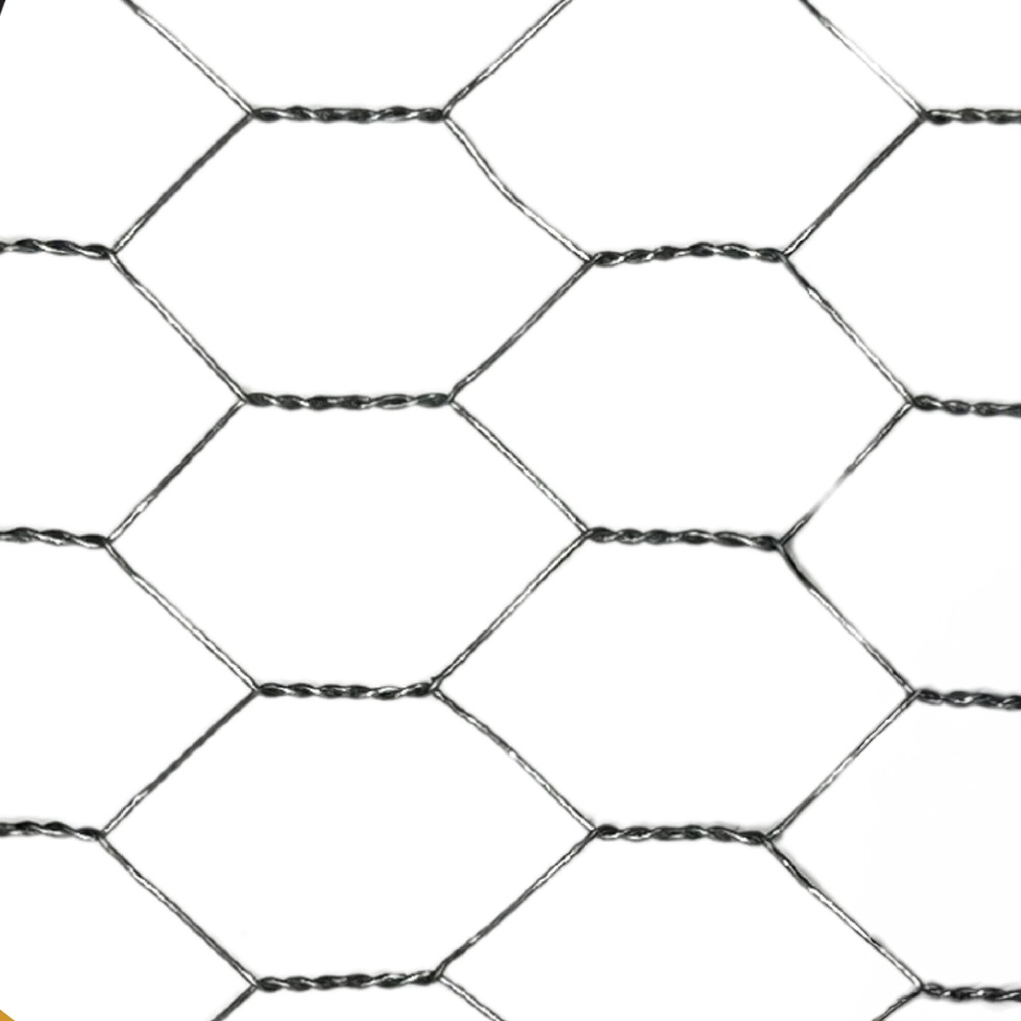 NUVO IRON Poultry Netting 3 ft. x 50 ft., 1 in. Hexagonal Mesh, 20-Gauge Hot Dipped Galvanized Steel