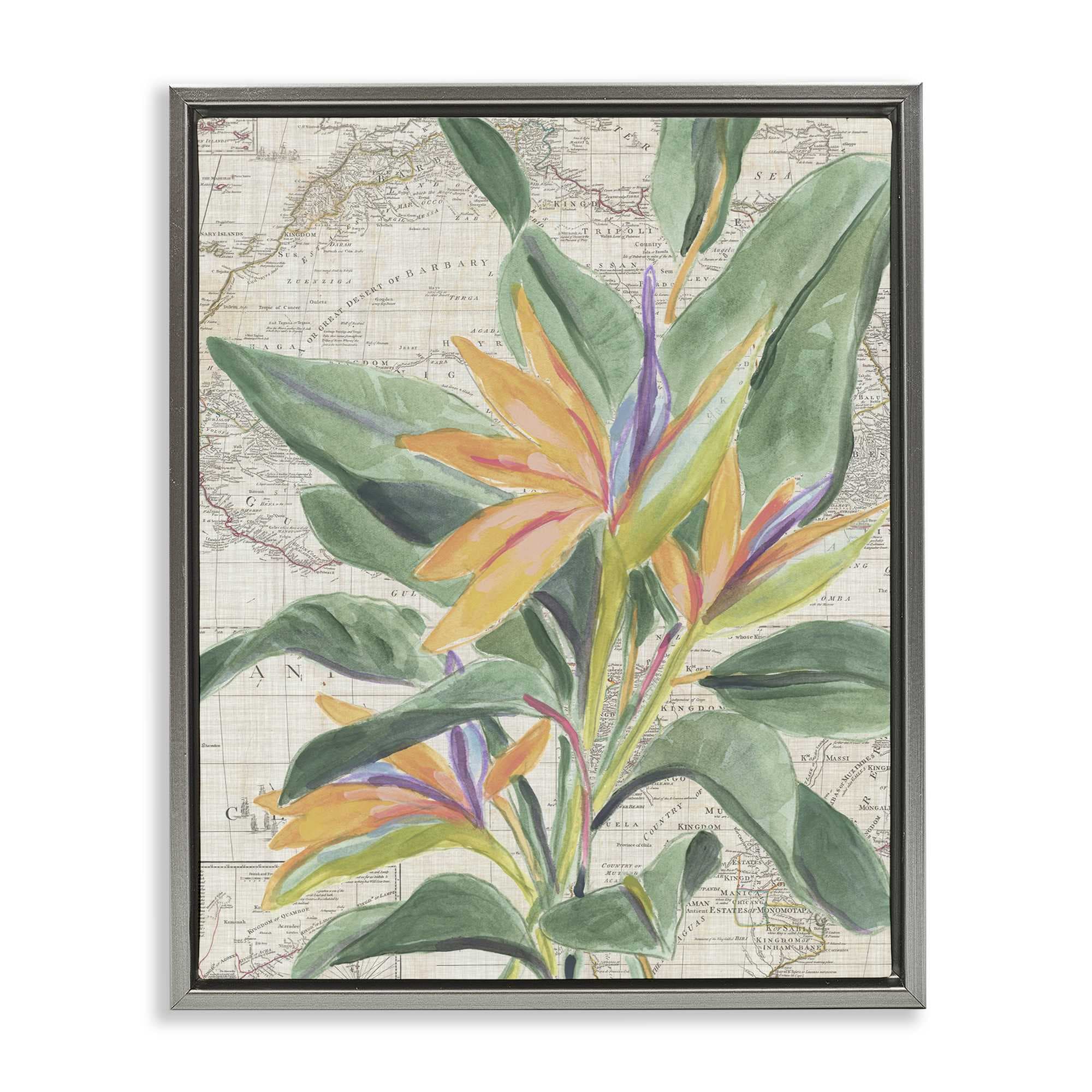 Stupell Industries BS-388-FFL-24X30 Tropical Flower over Map Floating Frame design by June Erica Vess