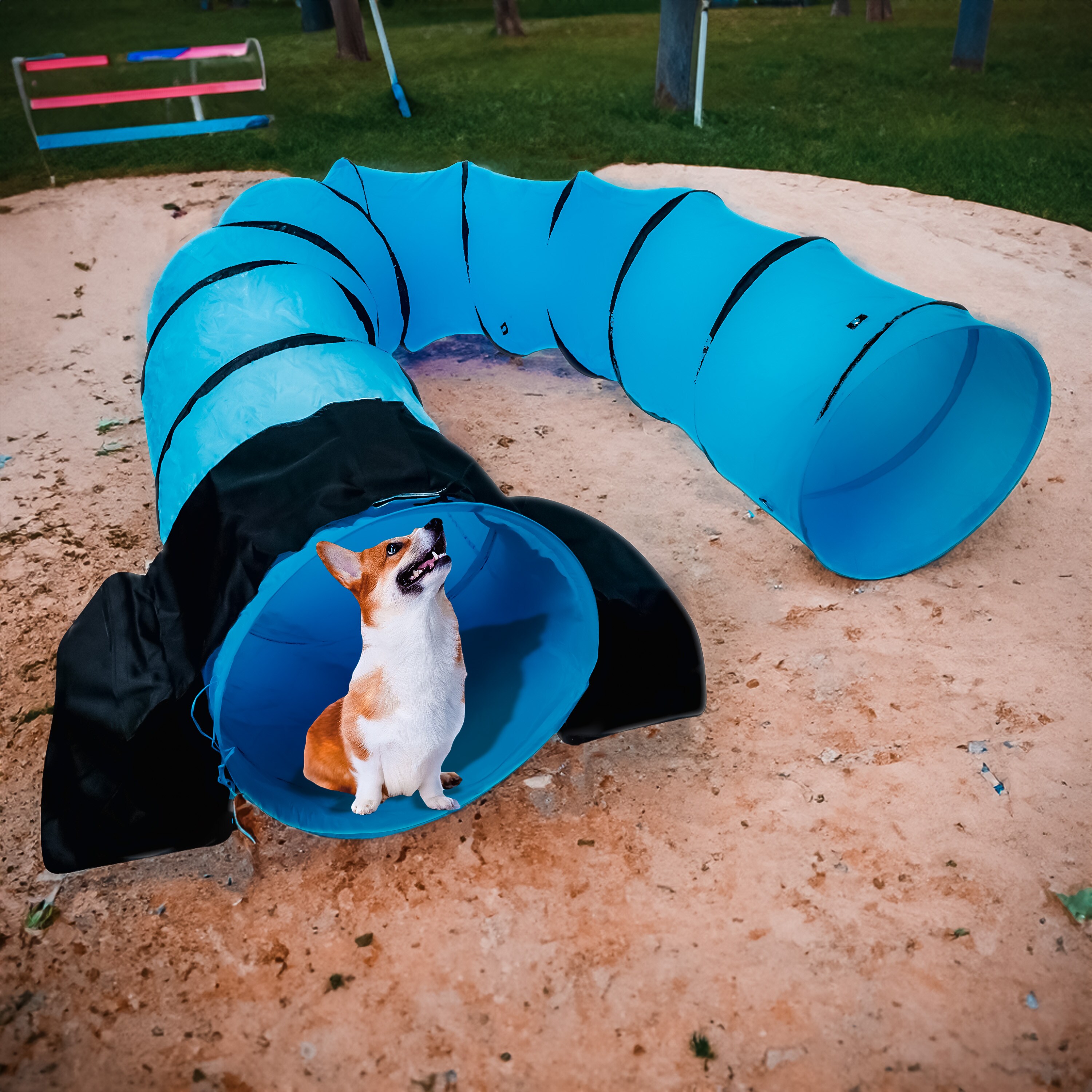 Trademark Innovations DOG-TUNNL-SNDBG Dog-Park-Agility-Course-Components - View #5