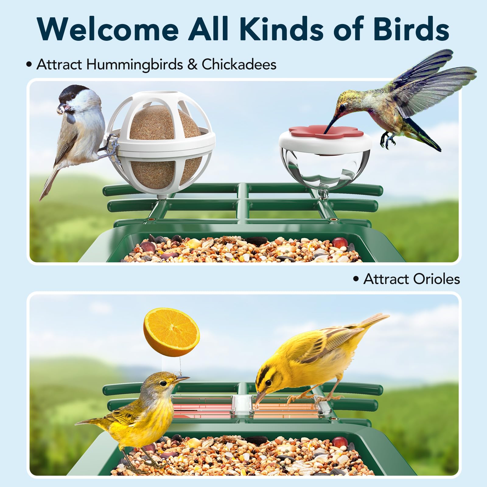 Afoxsos LAF1202F11 Bird-Feeders - View #7