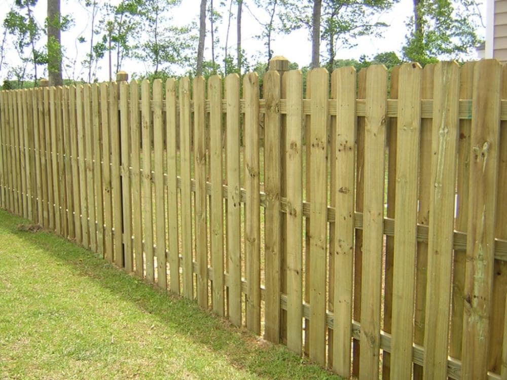 Severe Weather 1 in x 6 in x 8 ft Pressure Treated Southern Yellow Pine Dog Ear Fence Picket in the Wood Fence Pickets department at Lowes