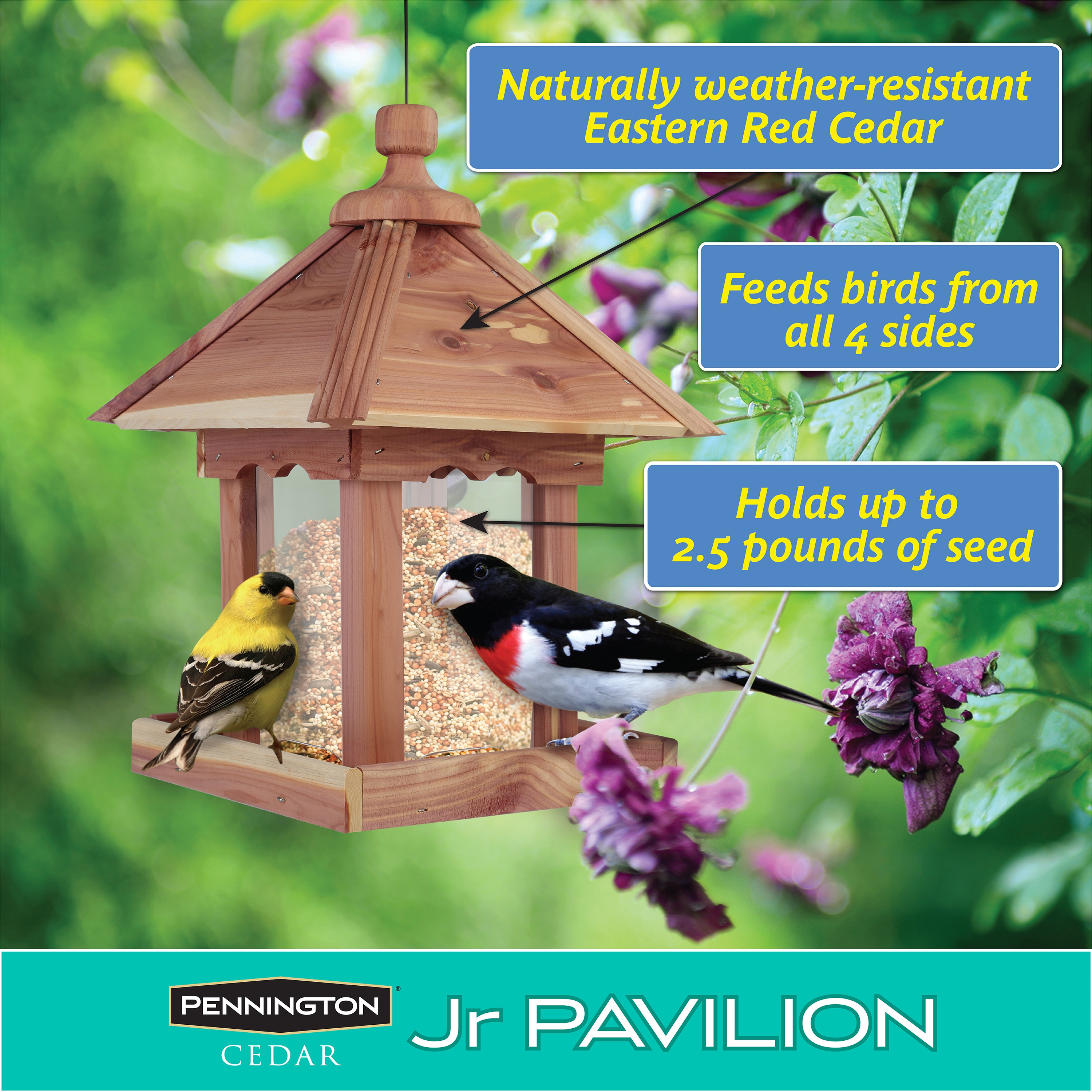 Pennington Wood Hanging Hopper Bird Feeder- 2.5-lb 100521909 at Lowes.com