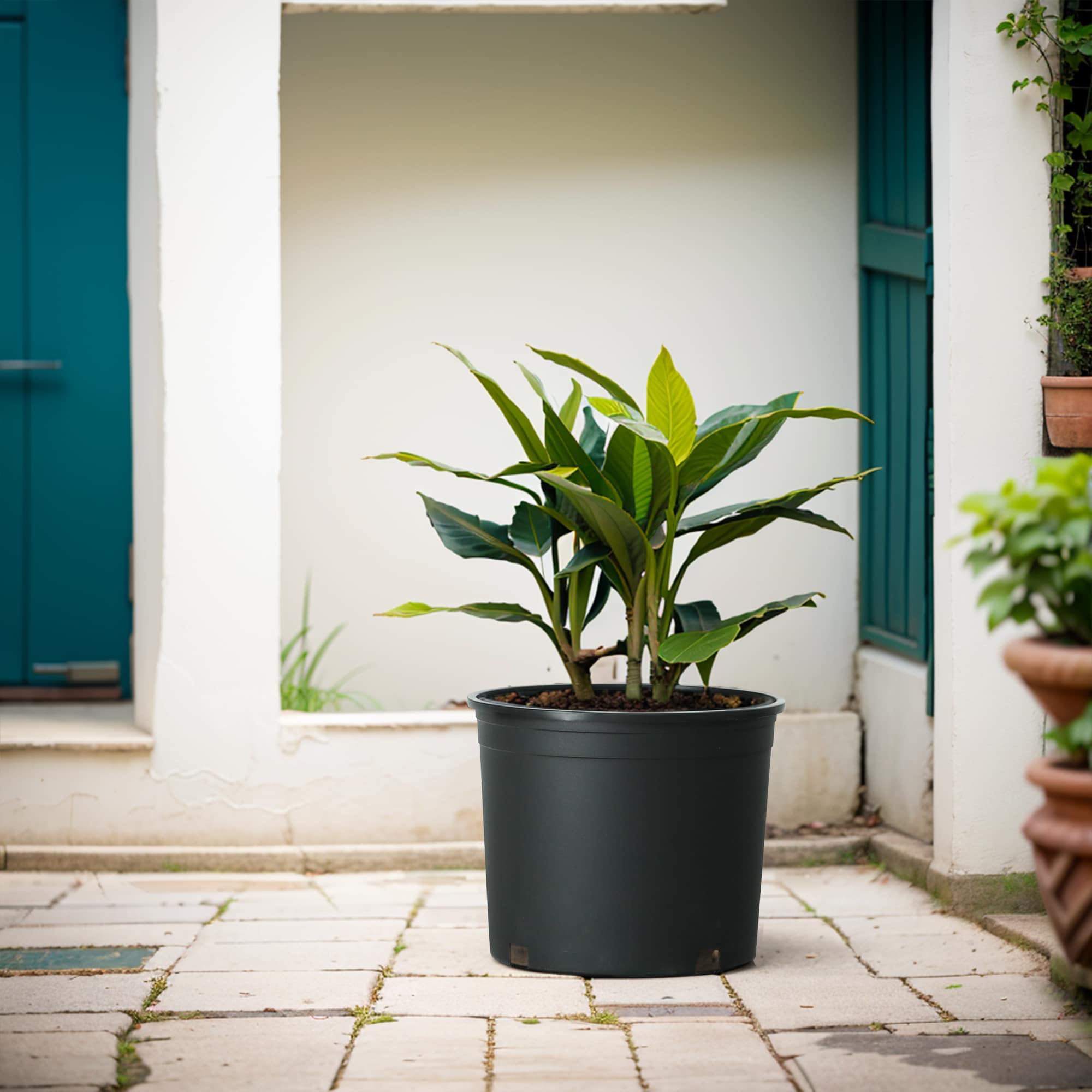 Style Selections MLH0511PKH Planter-Window-Box - View #2