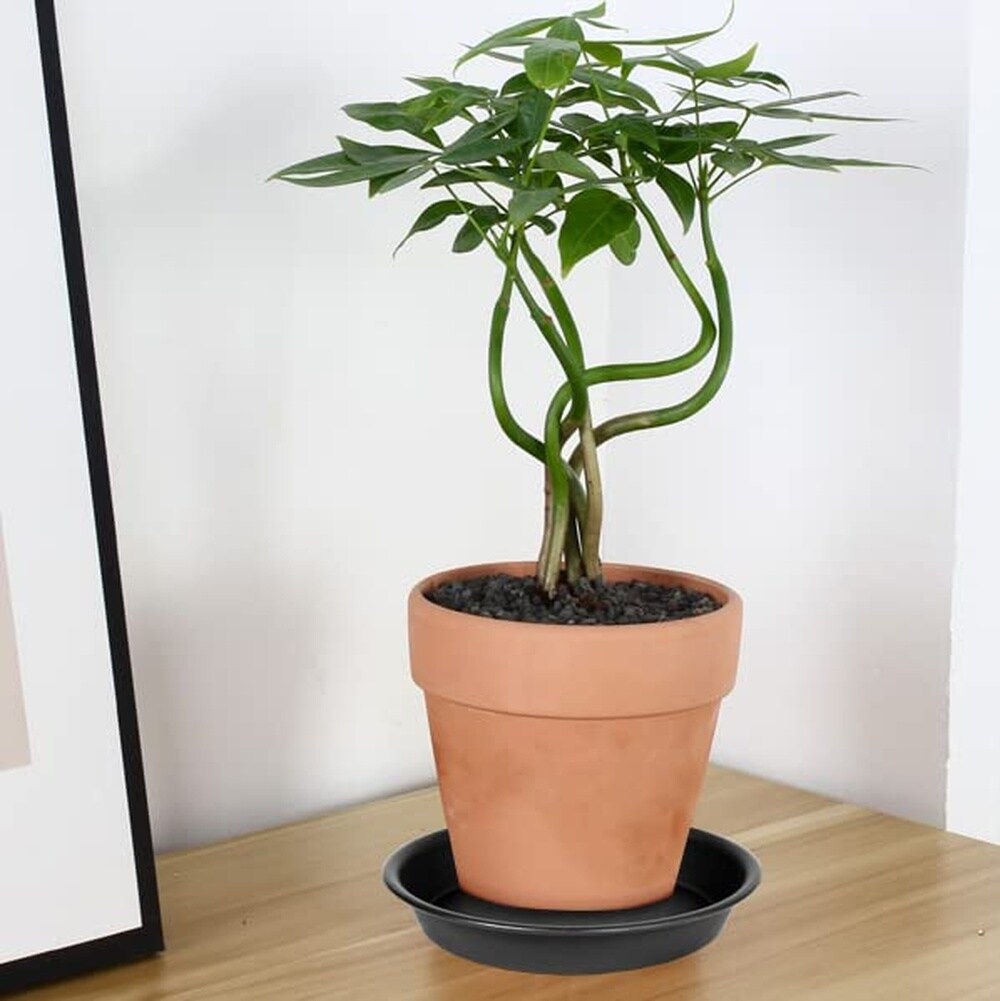 Justincity L05JT09070 Planter-Window-Box - View #7