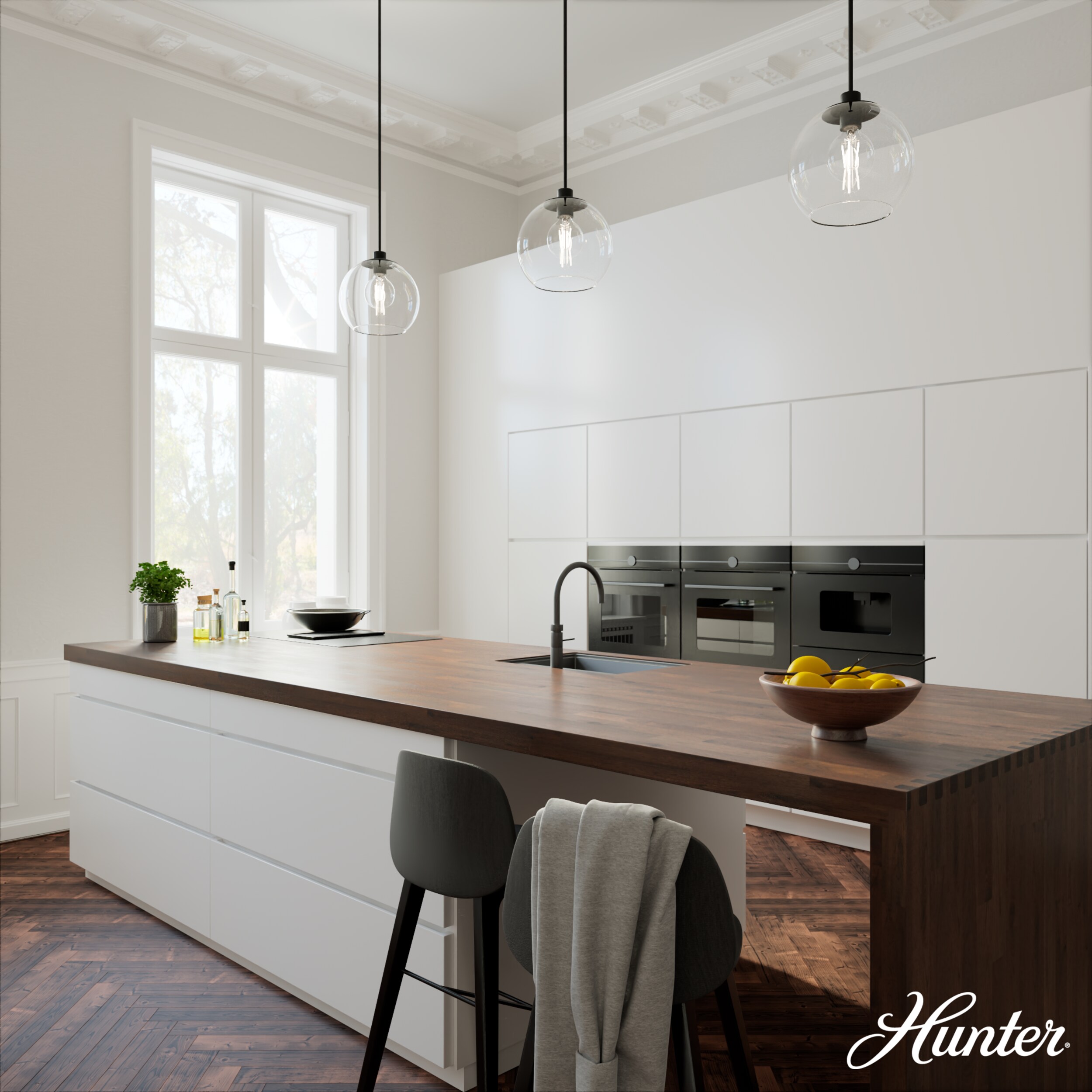 Hunter 19512 Pendant-Lights - View #2