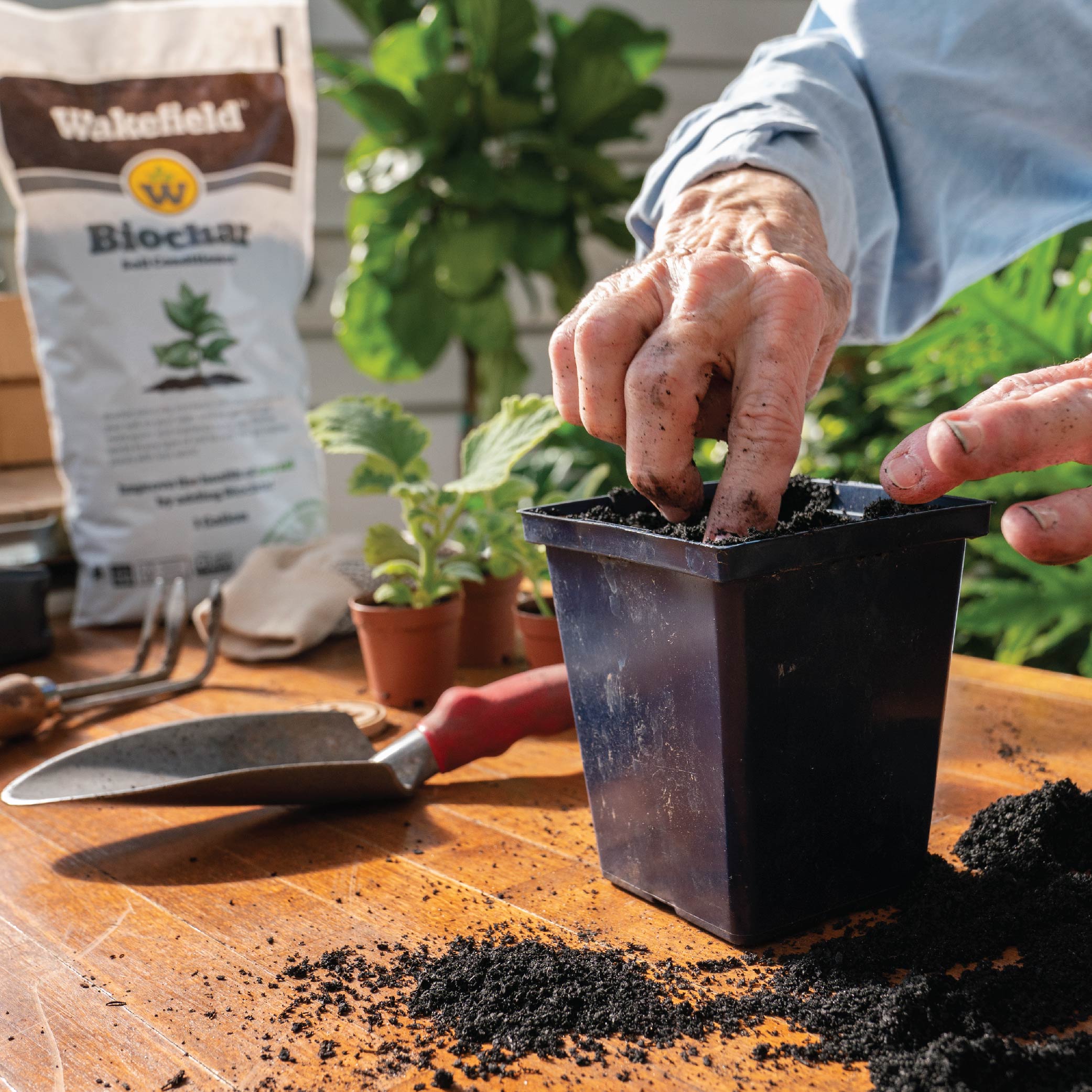 Horticultural Charcoal / Biochar Soil Amendment / Orchid Potting Mix  /natural Fertilizer 