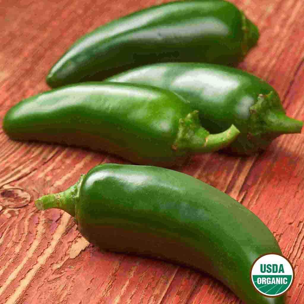 Ferry-Morse LC25.0935 Vegetable-Herb-Seeds - View #3