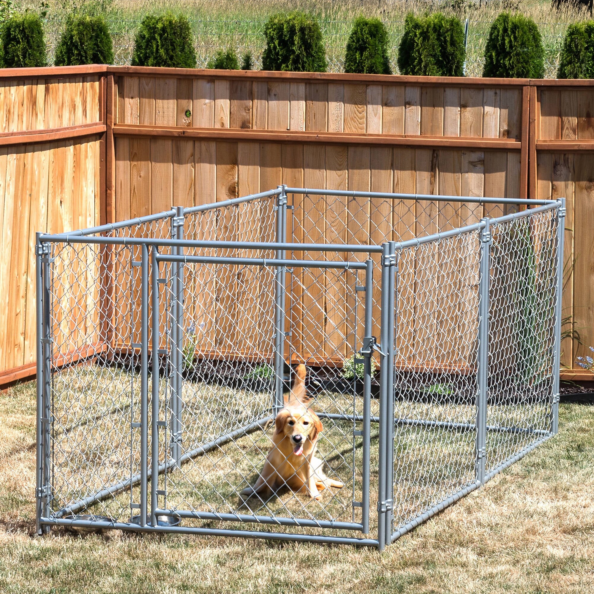 Lucky Dog Wire Dog Kit Extra Large 10-ft L x 5-ft W x 4-ft H in the ...