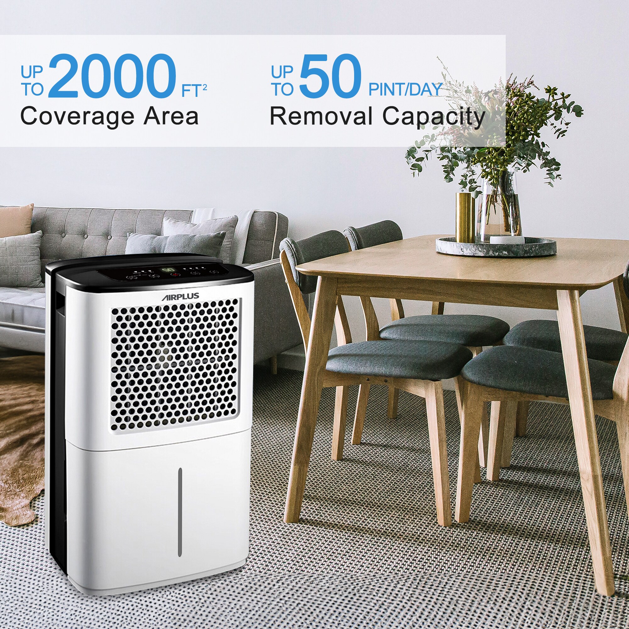 EdenDirect FDKE3802 t000099 - View #3